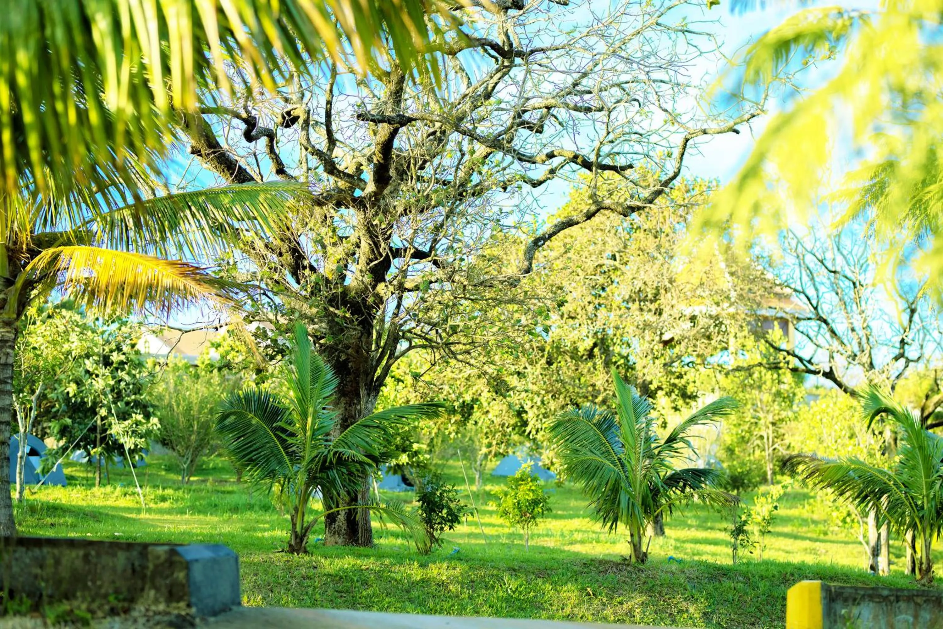 Spring in KNN Luxury Hill