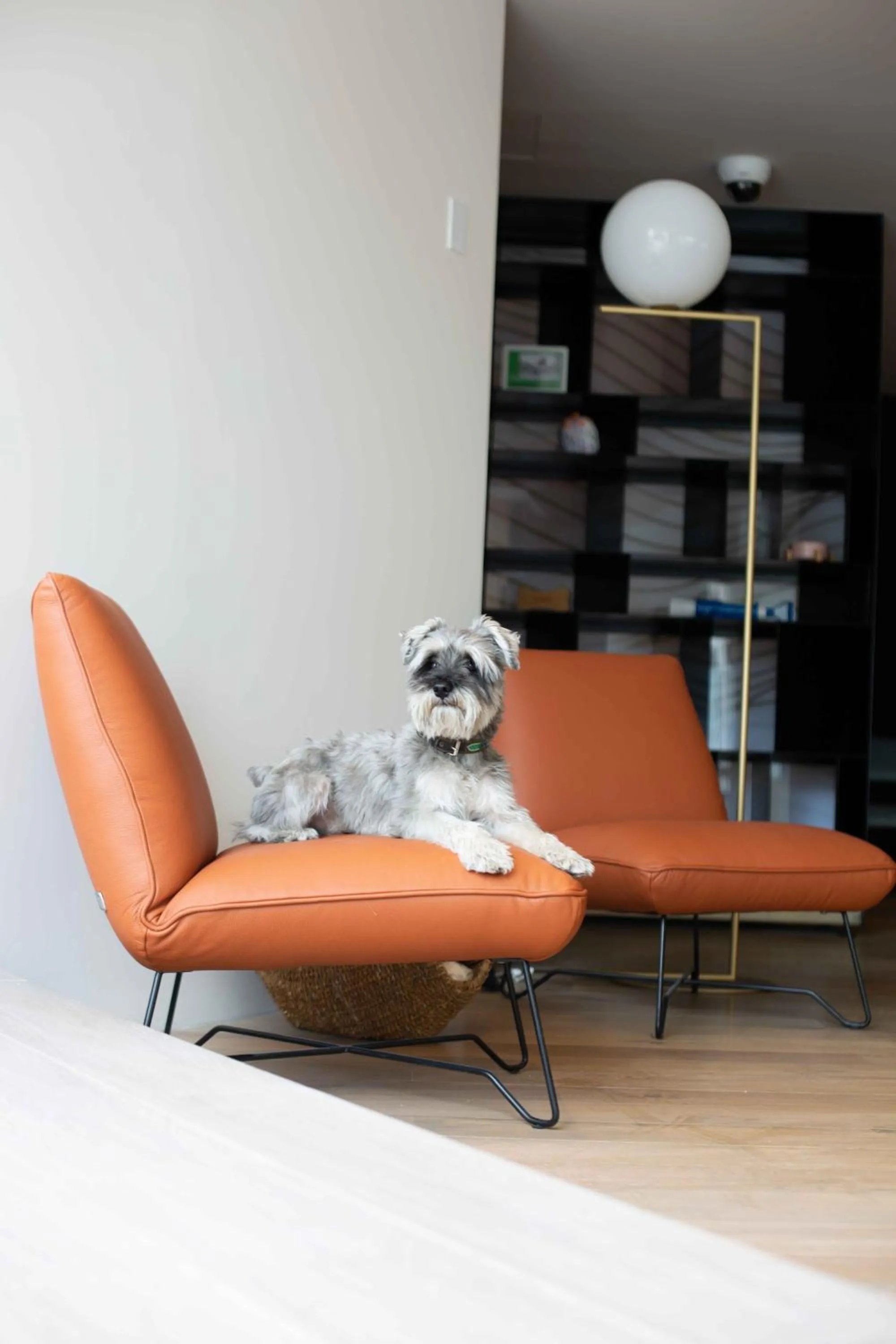 Restaurant/places to eat in Andaz Condesa Mexico City, By Hyatt