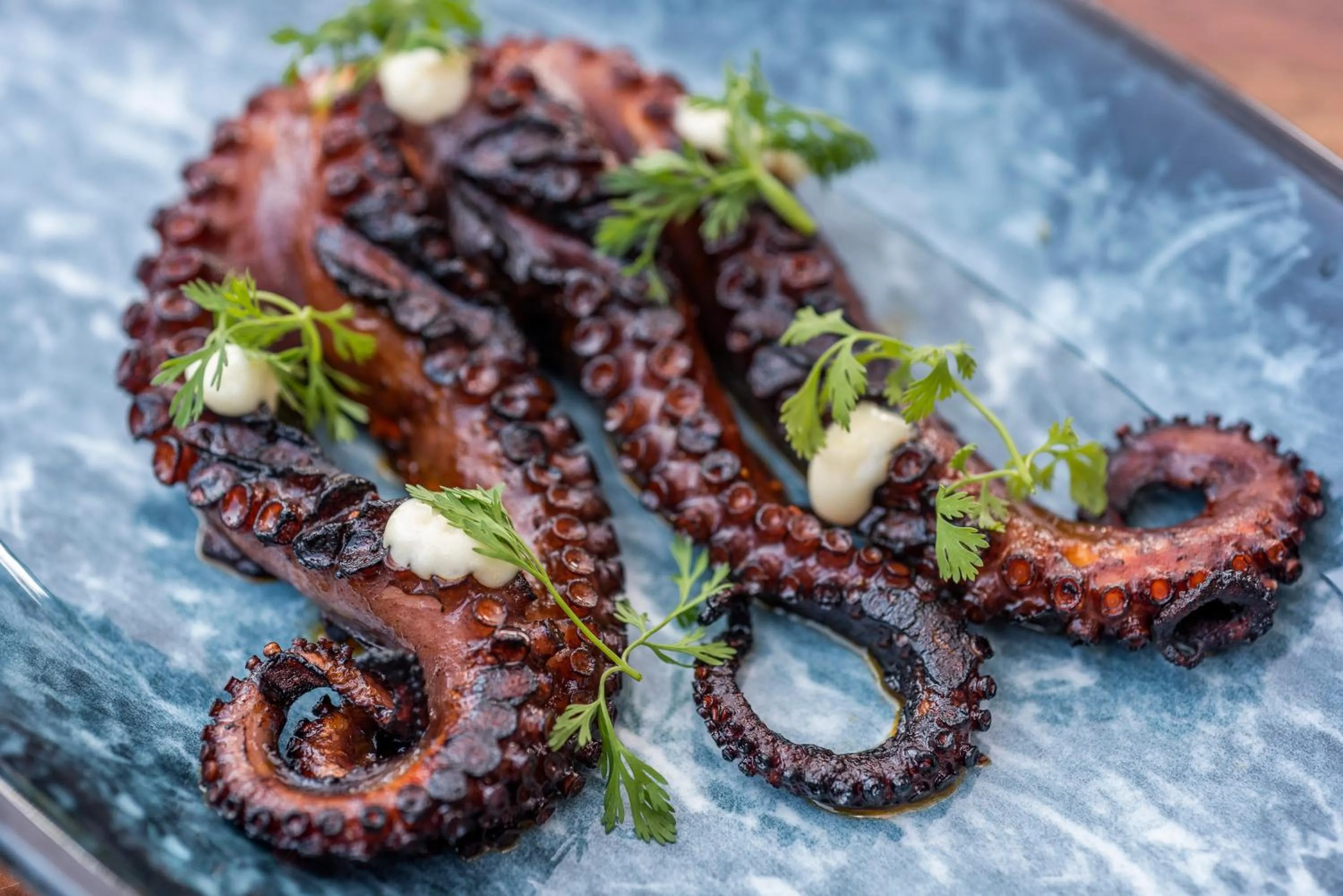 Restaurant/places to eat in Andaz Condesa Mexico City, By Hyatt