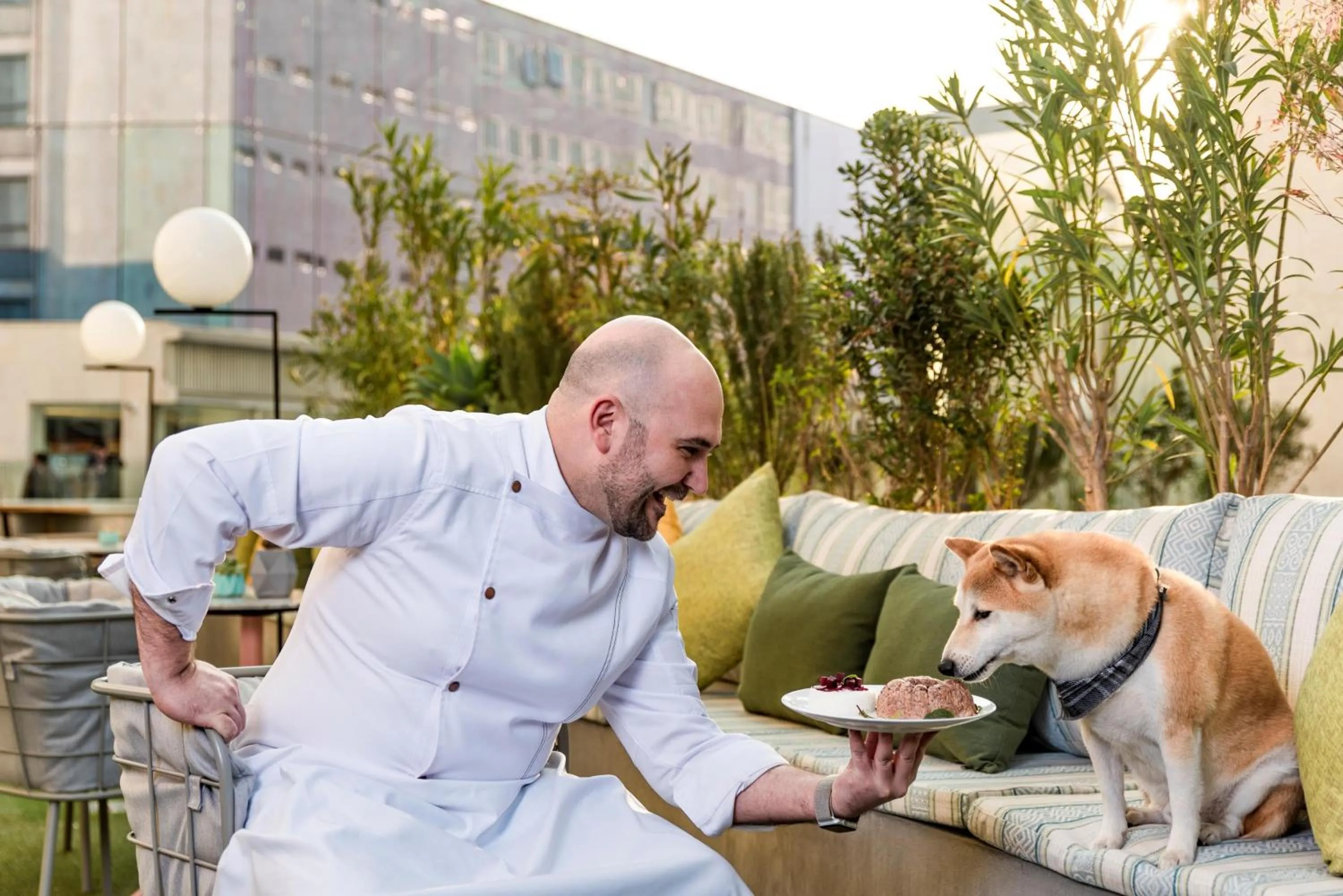Pets in Andaz Condesa Mexico City, By Hyatt