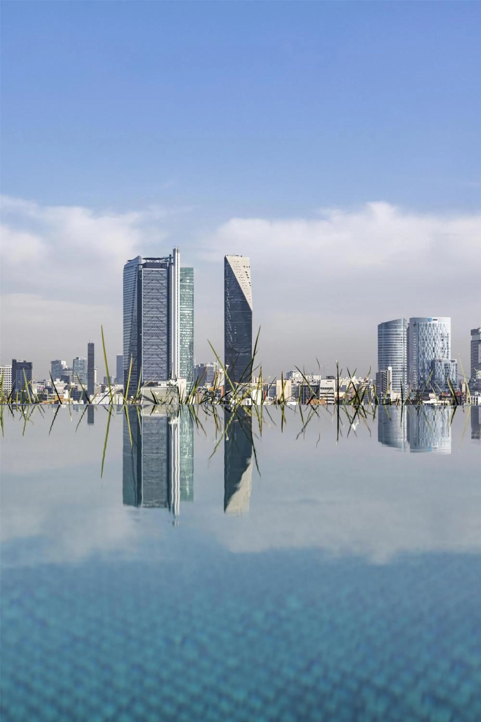 Swimming pool in Andaz Condesa Mexico City, By Hyatt