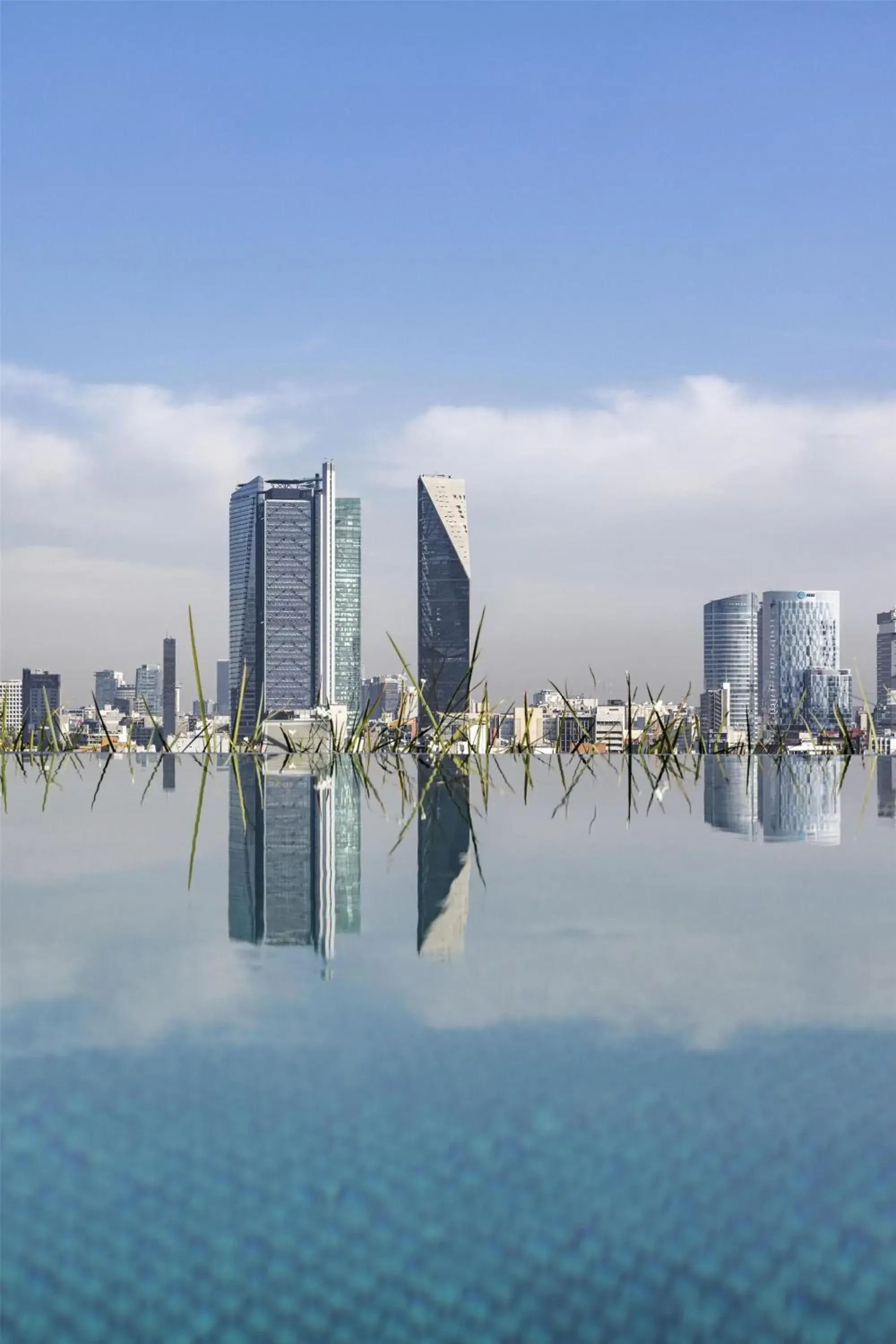 Swimming pool in Andaz Condesa Mexico City, By Hyatt Swimming pool in Andaz Condesa Mexico City, By Hyatt