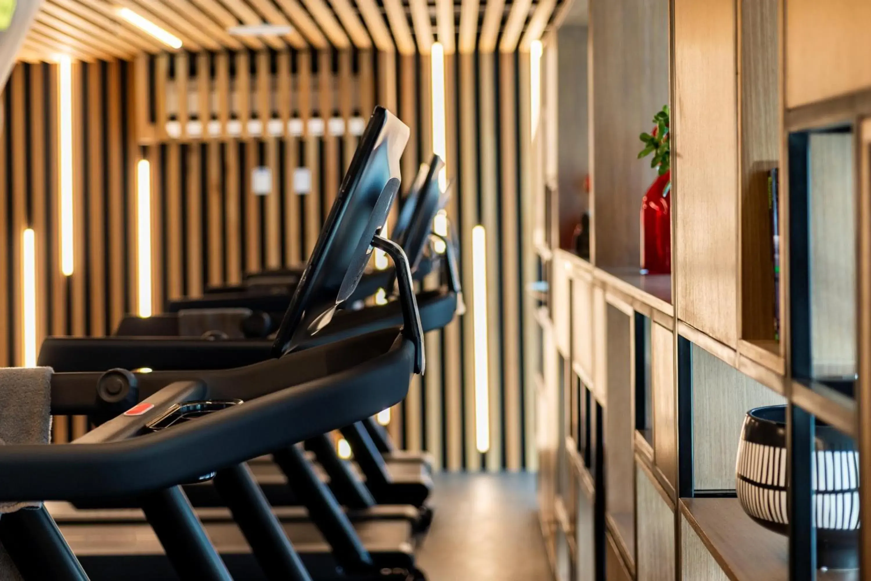 Fitness centre/facilities in Andaz Condesa Mexico City, By Hyatt Fitness centre/facilities in Andaz Condesa Mexico City, By Hyatt
