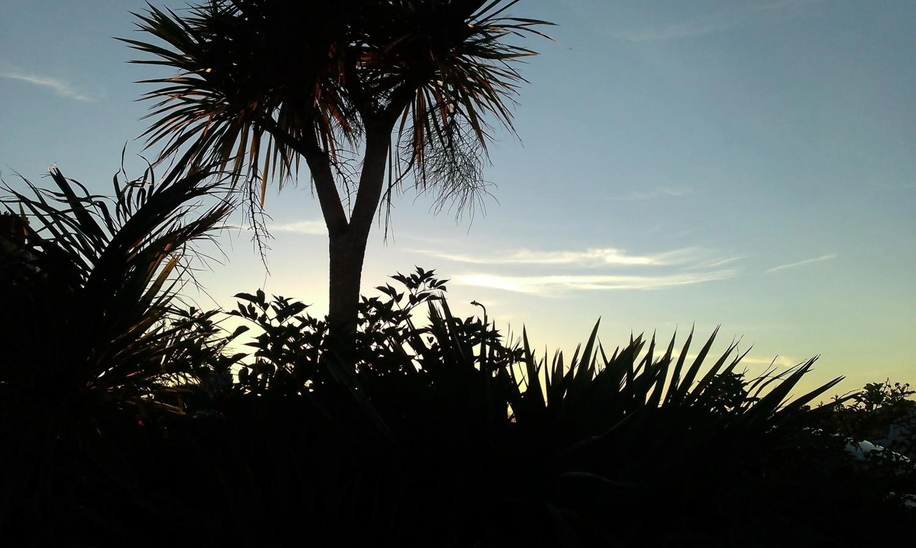 Natural landscape in Min y Don Guest House