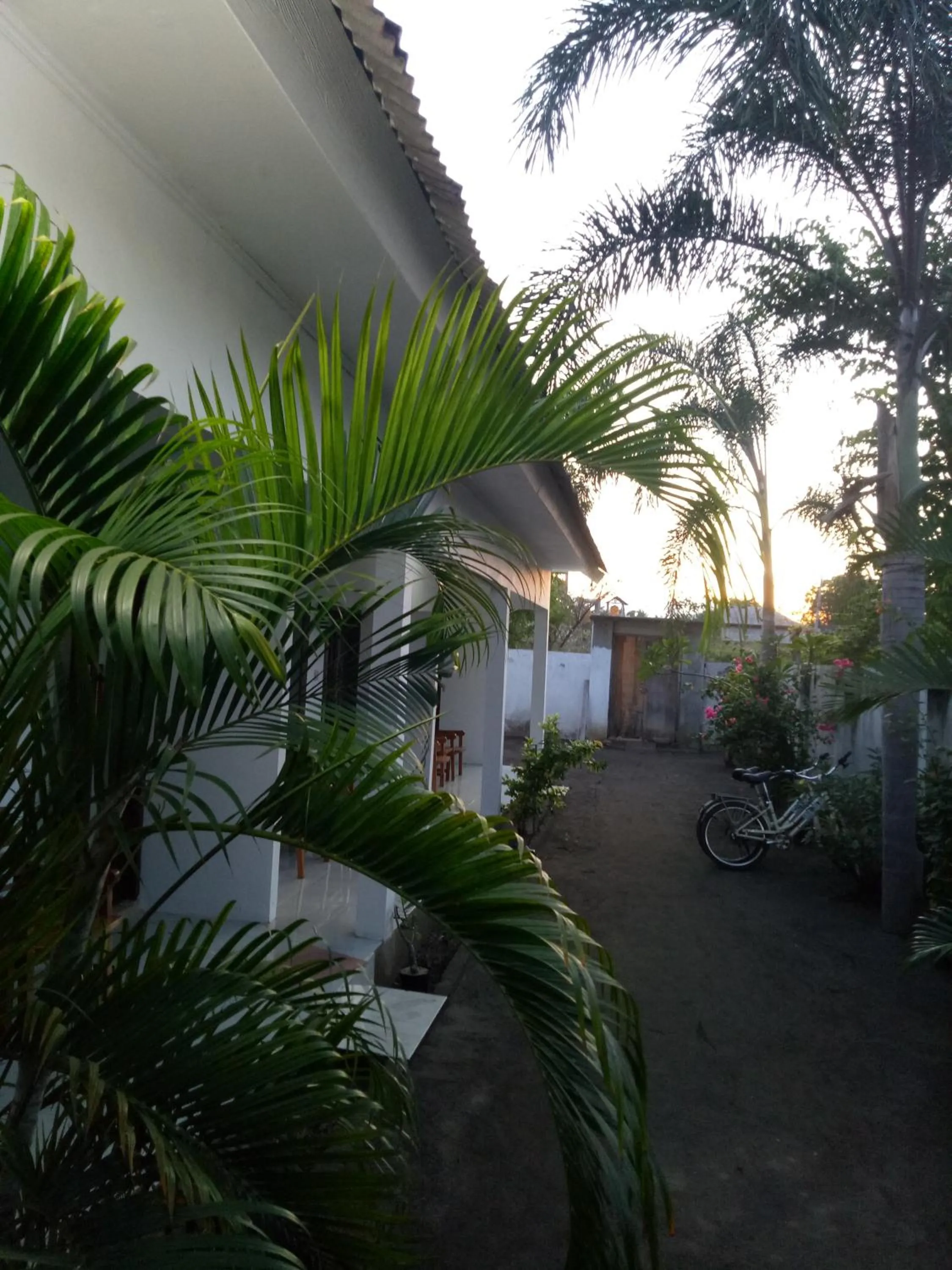 Garden in Ani Bungalows