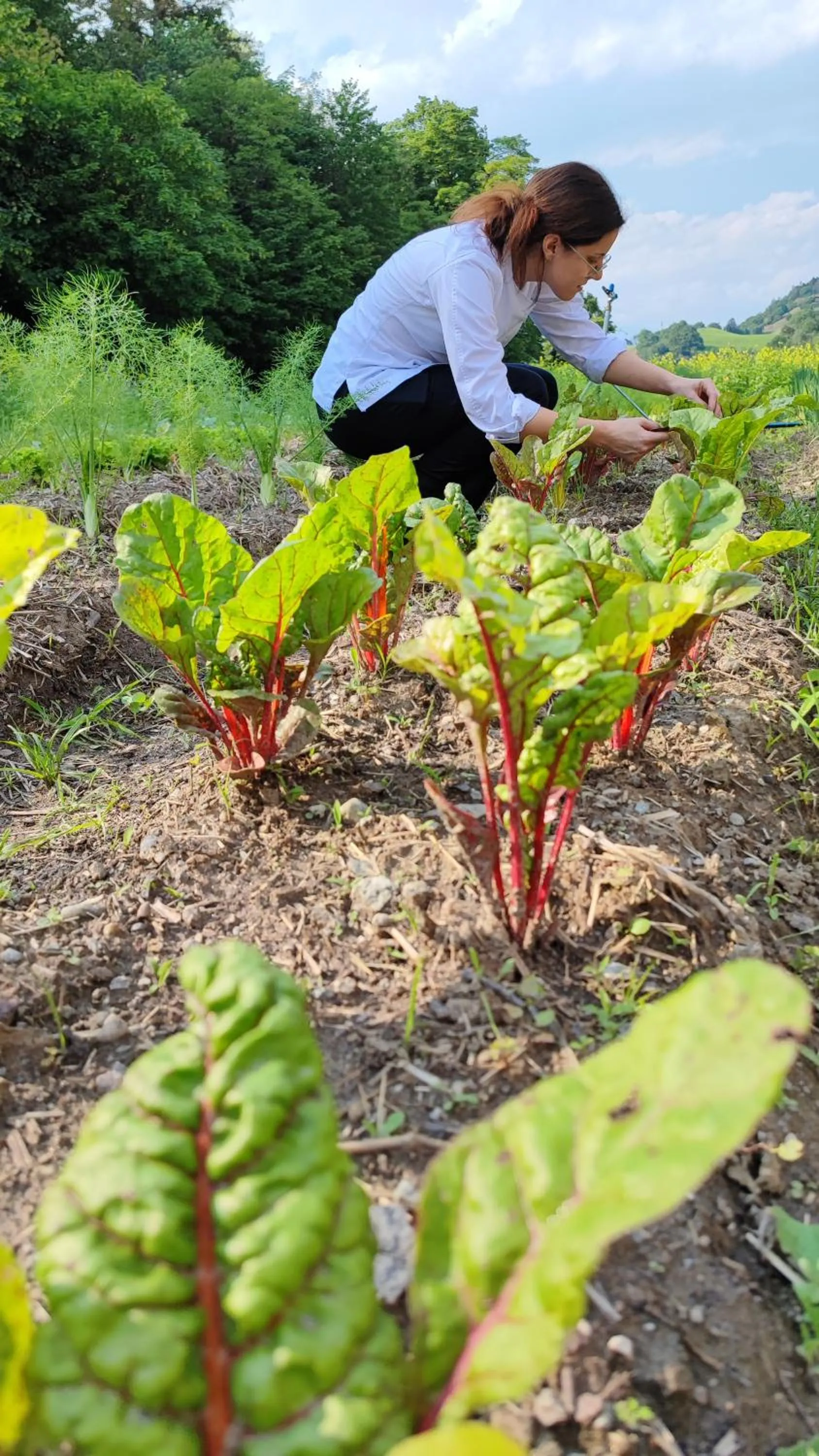 Garden in Relais & Chateaux Hotel Castel Fragsburg