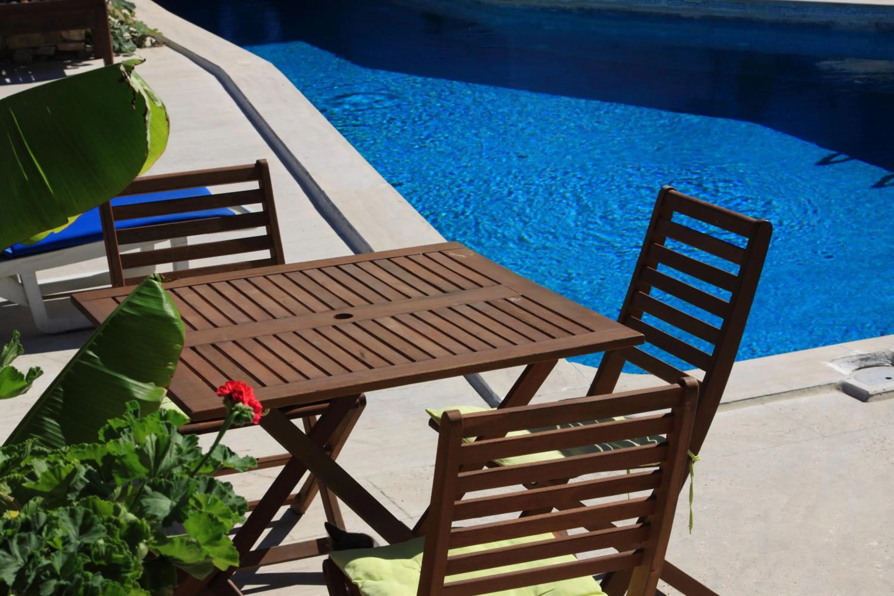 Swimming pool in Villa Konak Hotel