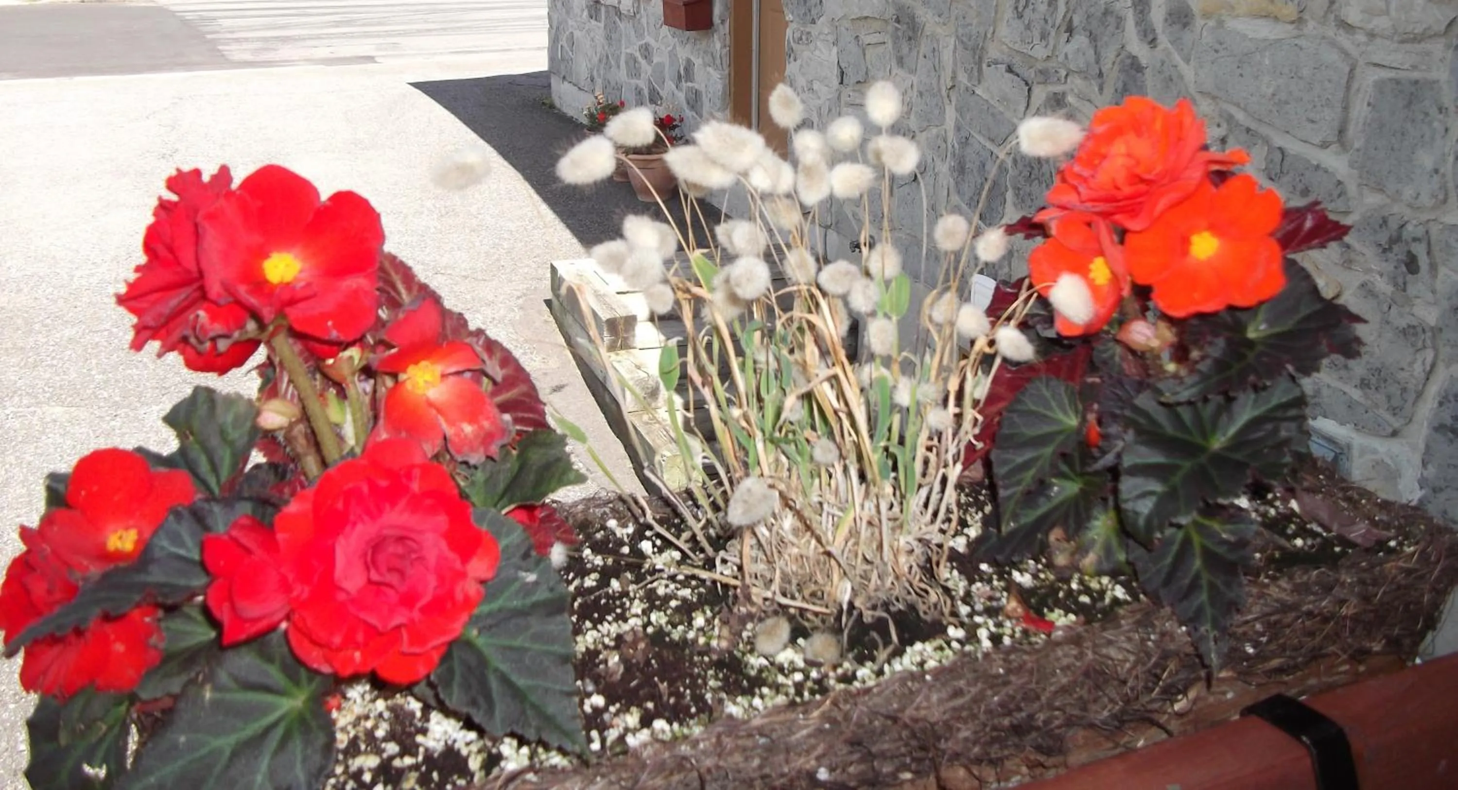 Facade/entrance in Au Gîte de la Chute