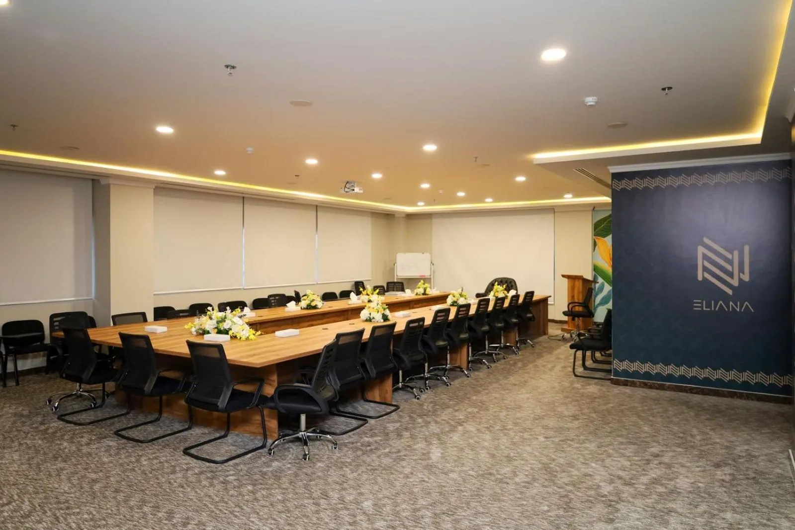 Meeting/conference room in Eliana Hotel