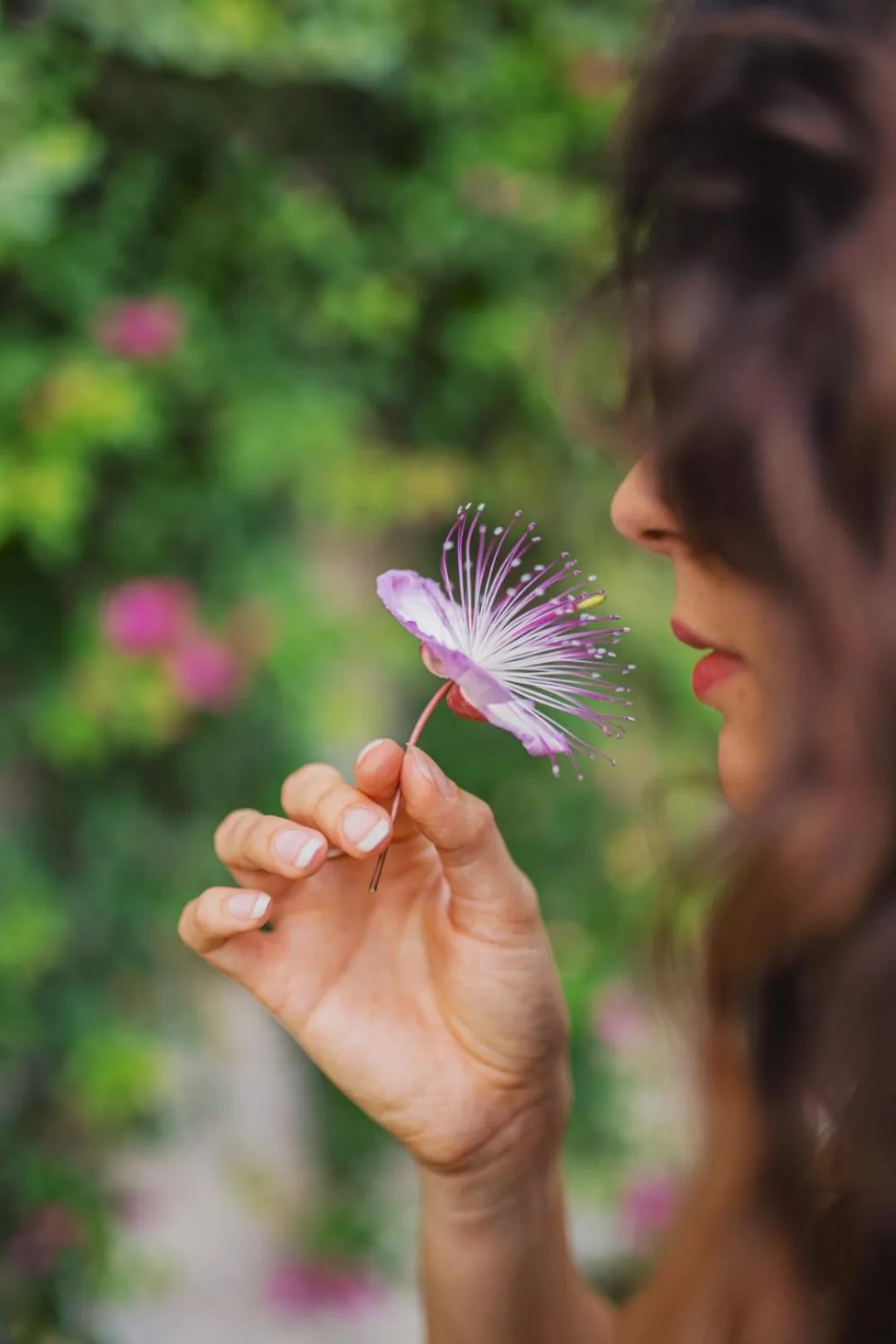 Garden in Hotel Villa Taormina