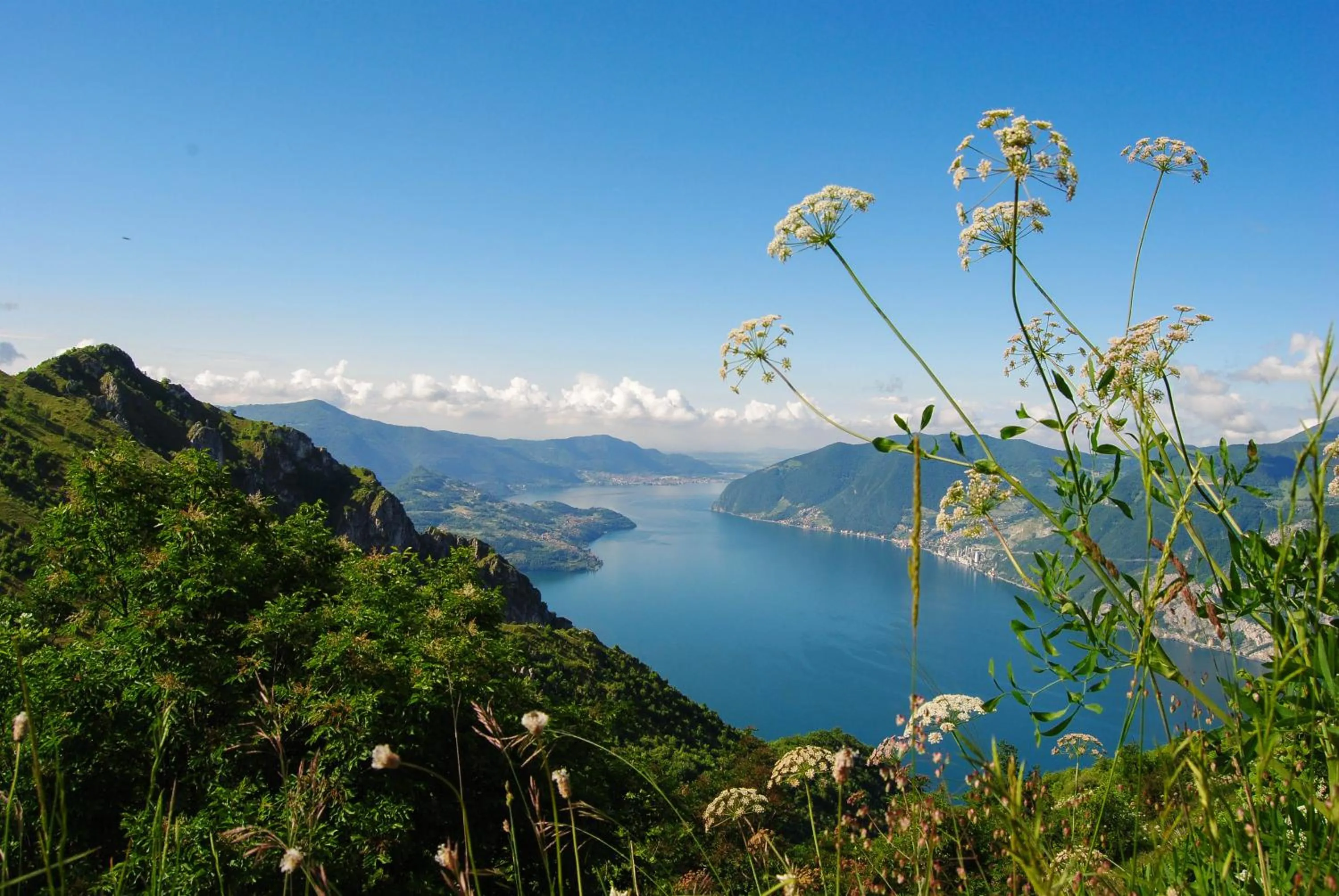 Natural landscape in Hotel Conca Verde