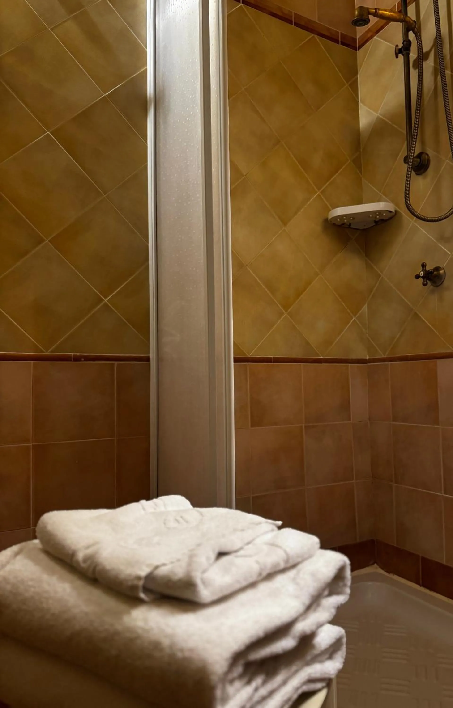 Shower in Hotel Il Barocco