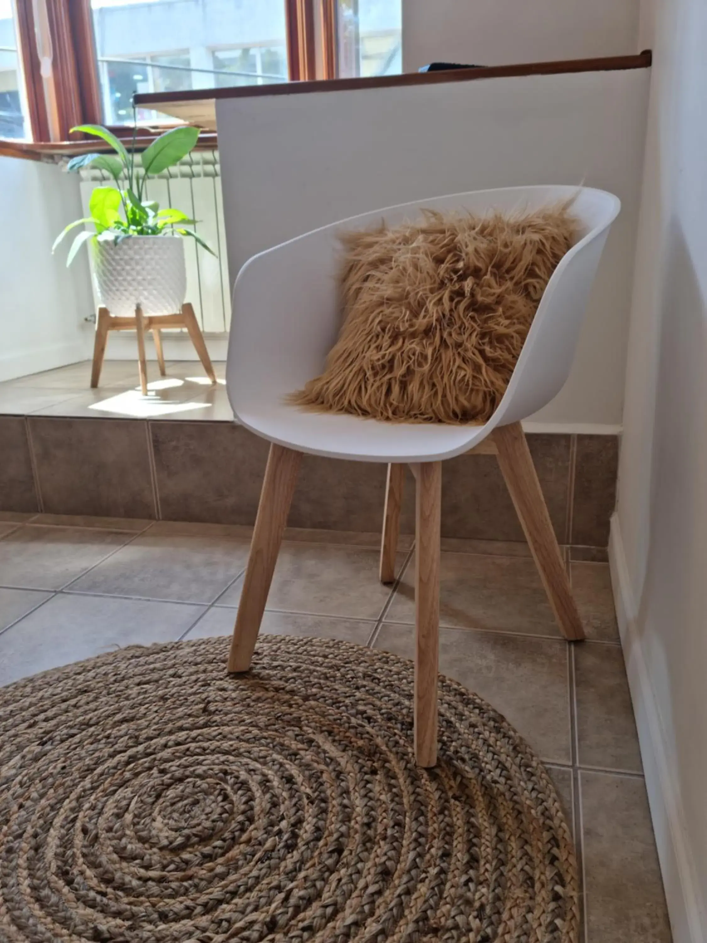 Apartment in Isla Bonita Suites Apartment in Isla Bonita Suites