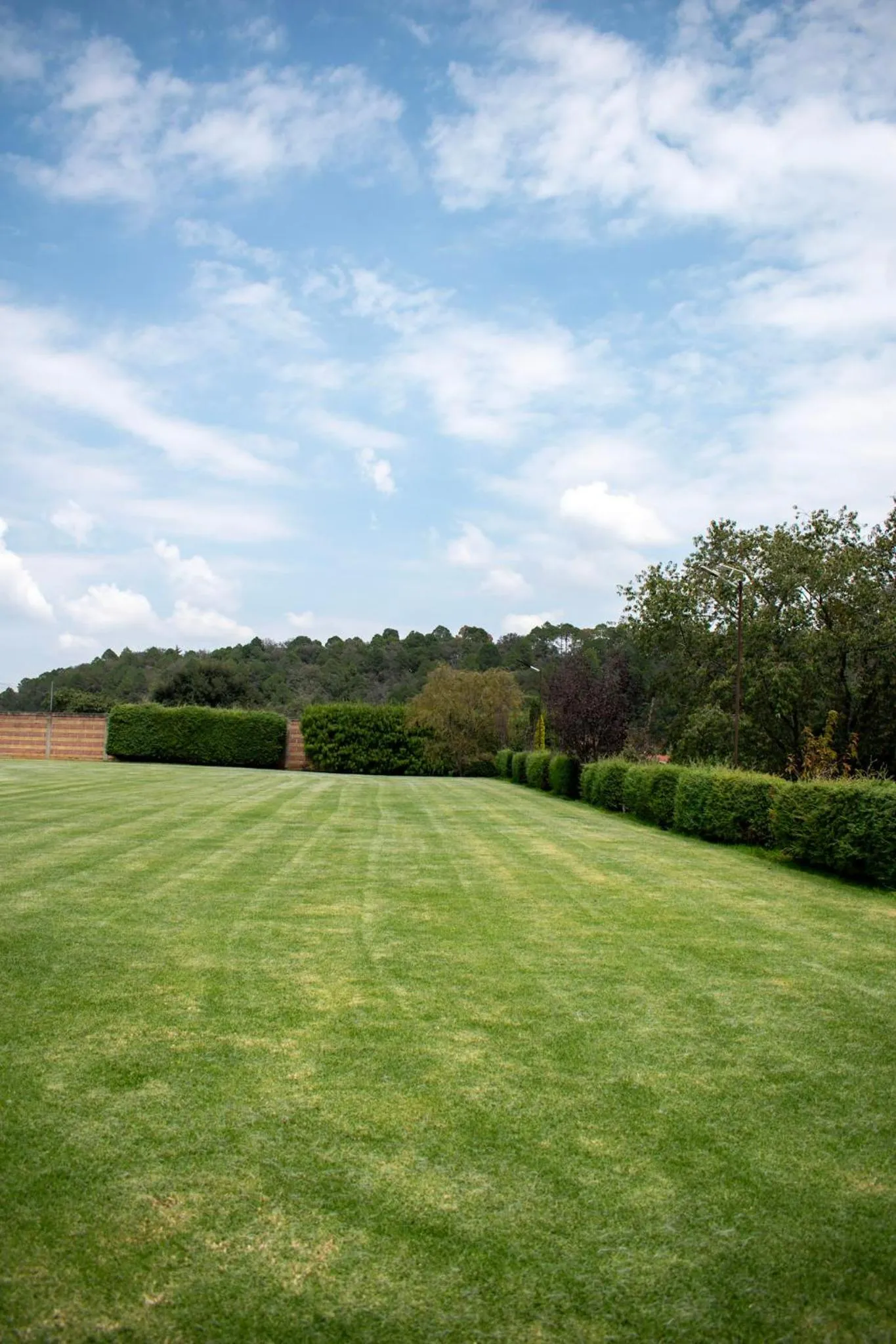 Garden in Finca Marix, Villa del Carbón