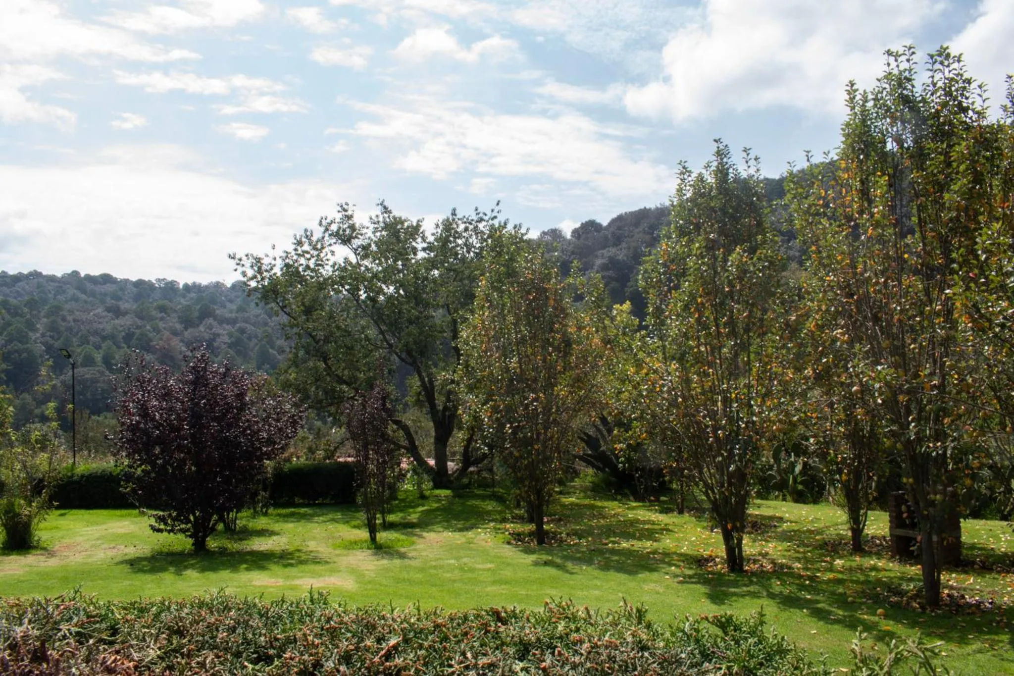 Garden in Finca Marix, Villa del Carbón