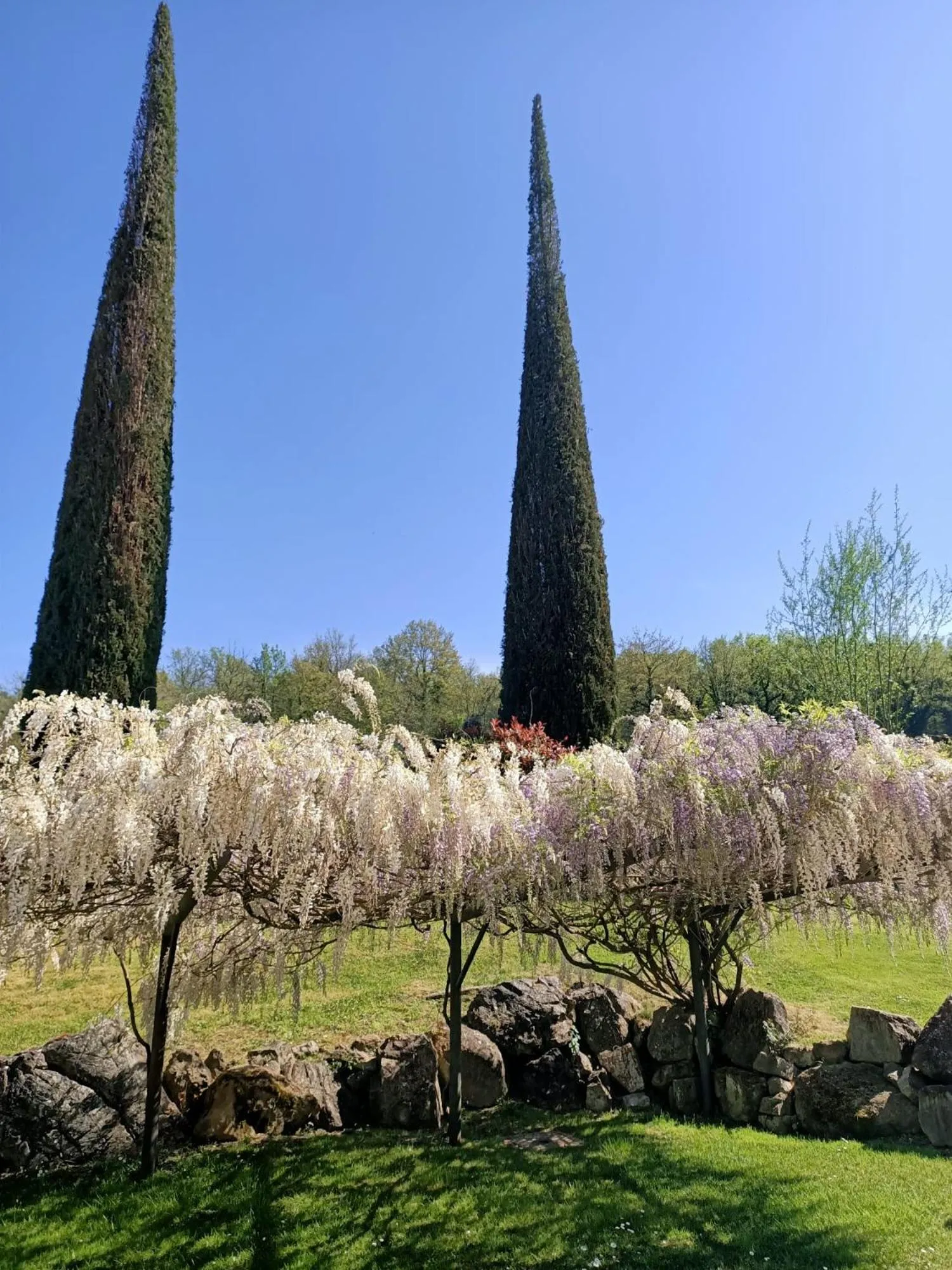 Garden in Relais Osteria Dell'Orcia