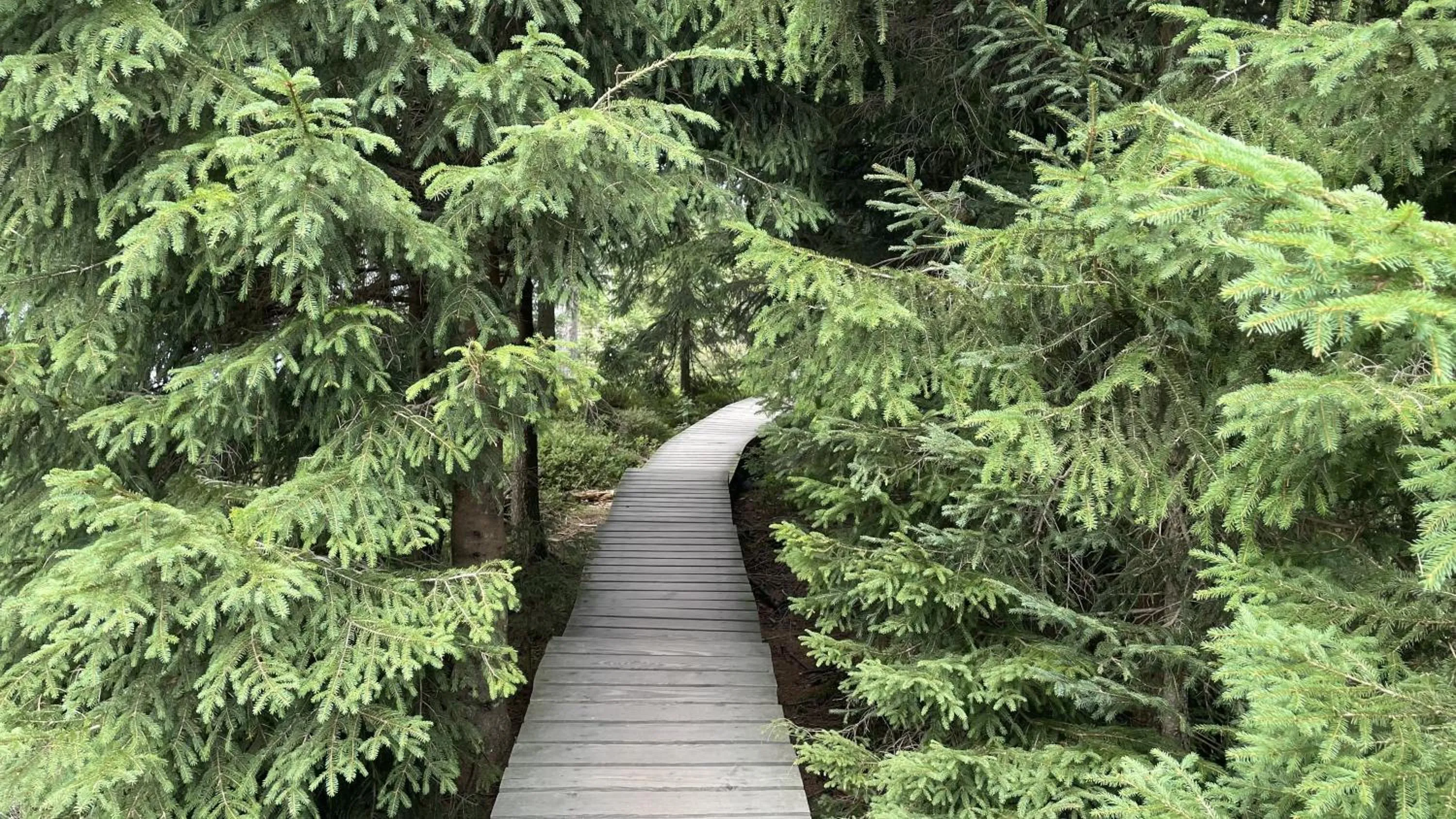 Hiking in Hotel Paidion