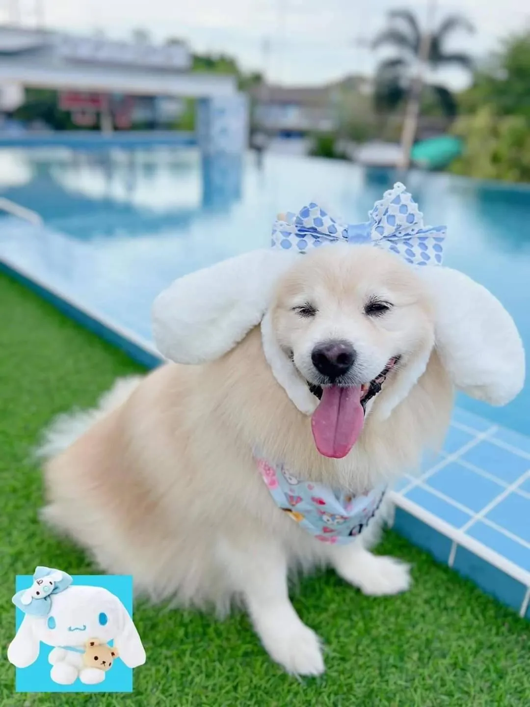 pet friendly in Christella Hotel Laemchabang