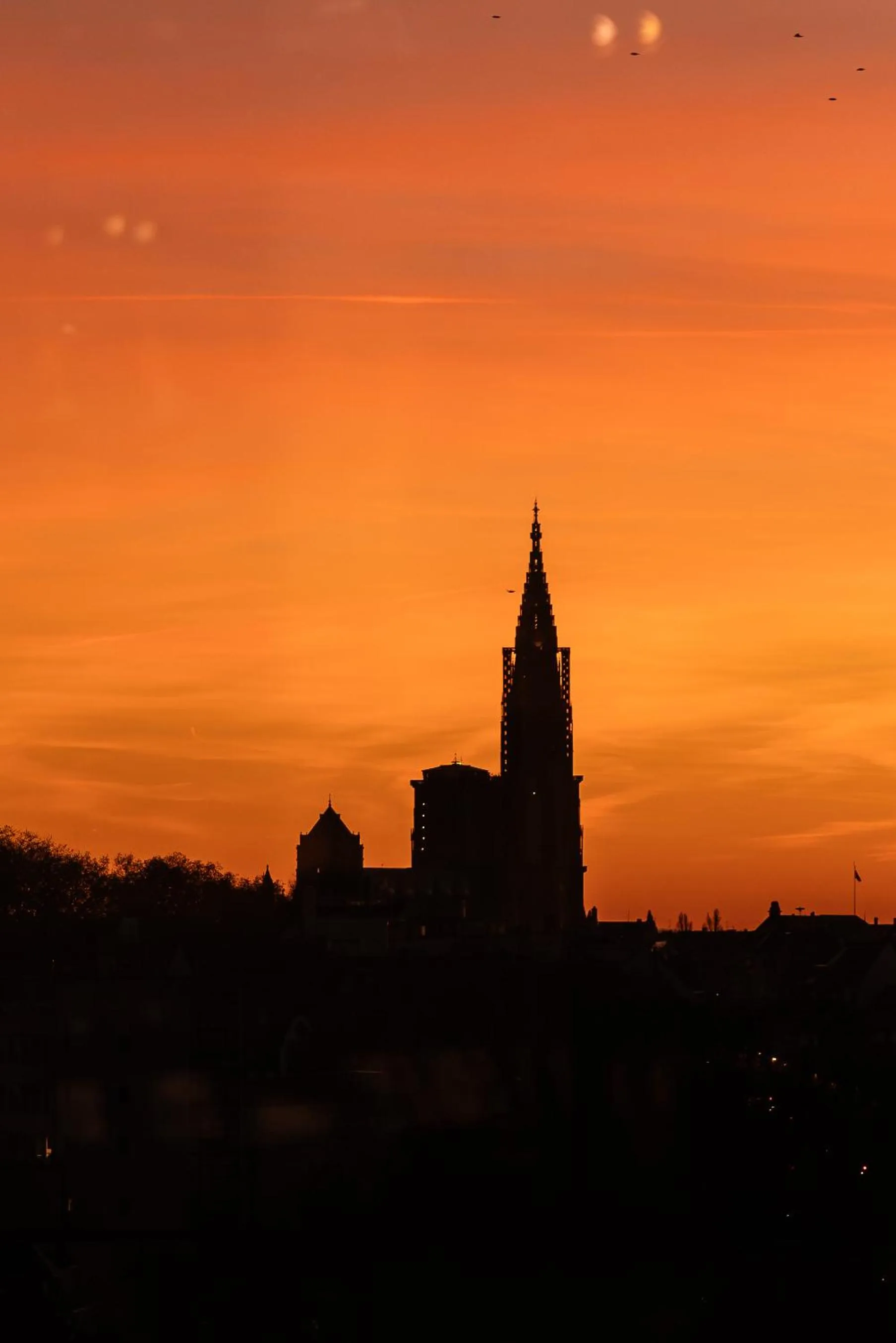 Restaurant/places to eat in Residence Inn by Marriott Strasbourg