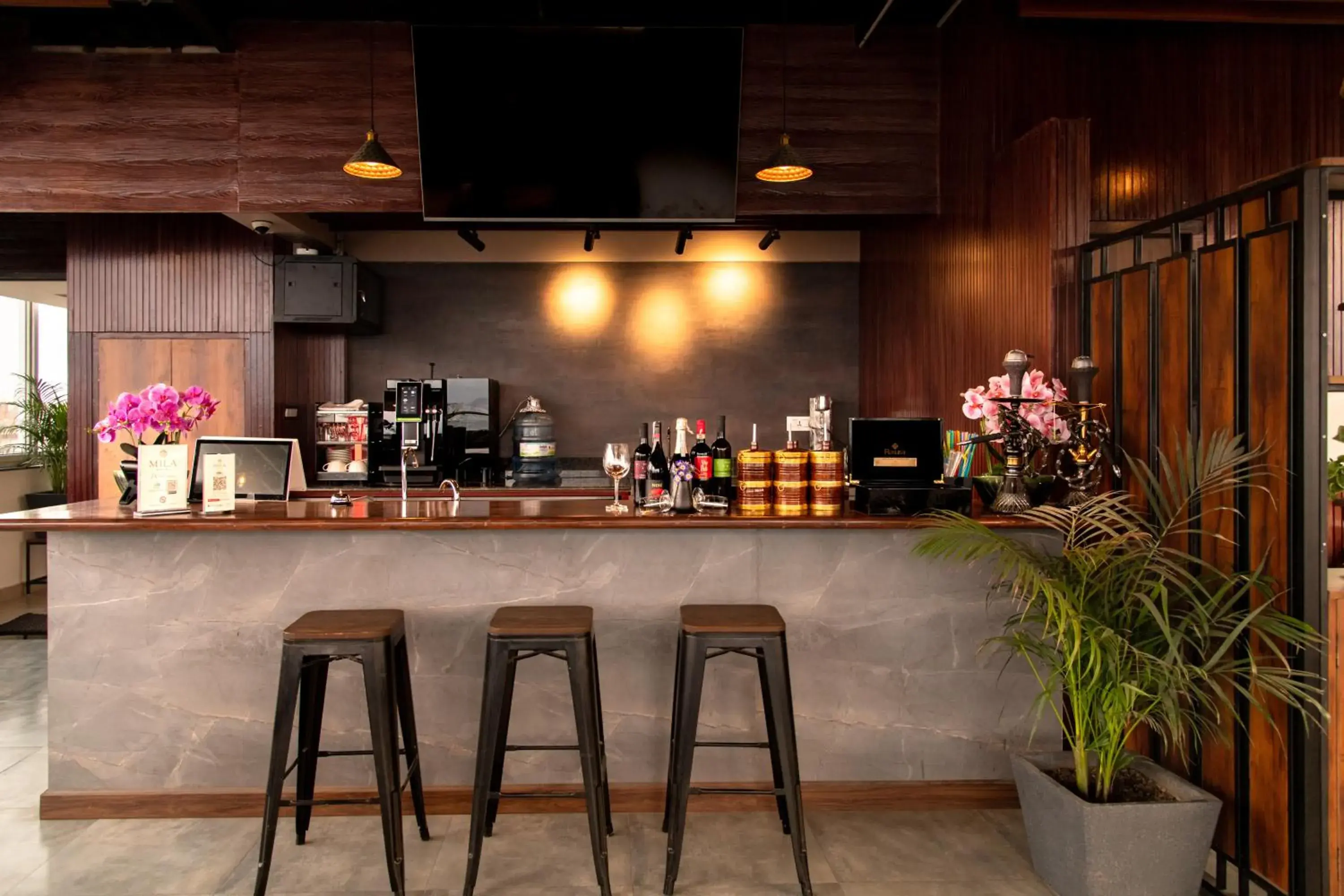 Lounge or bar in Mila Hotel Lounge or bar in Mila Hotel