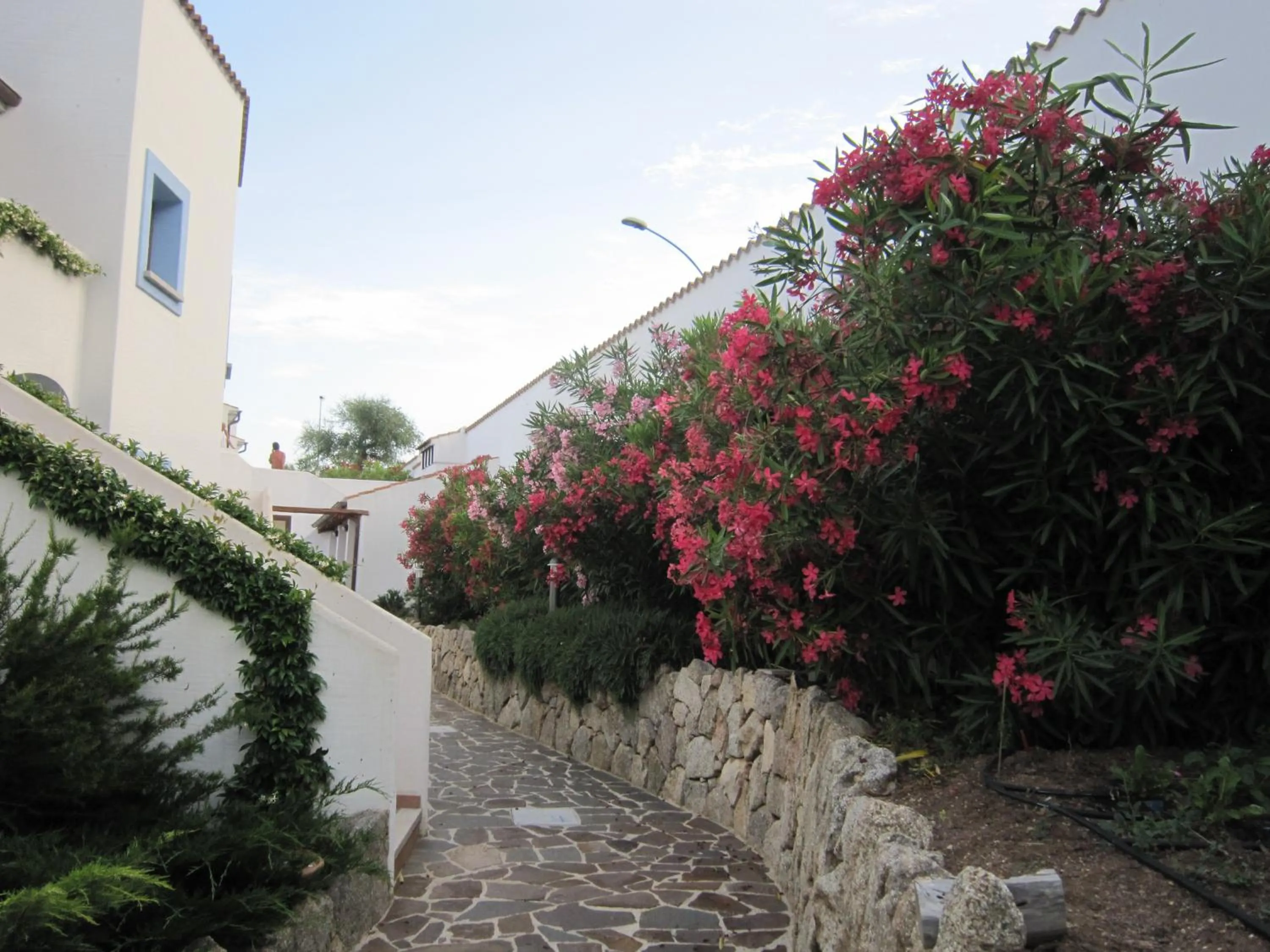 Garden in Hotel Resort Nuraghe Arvu