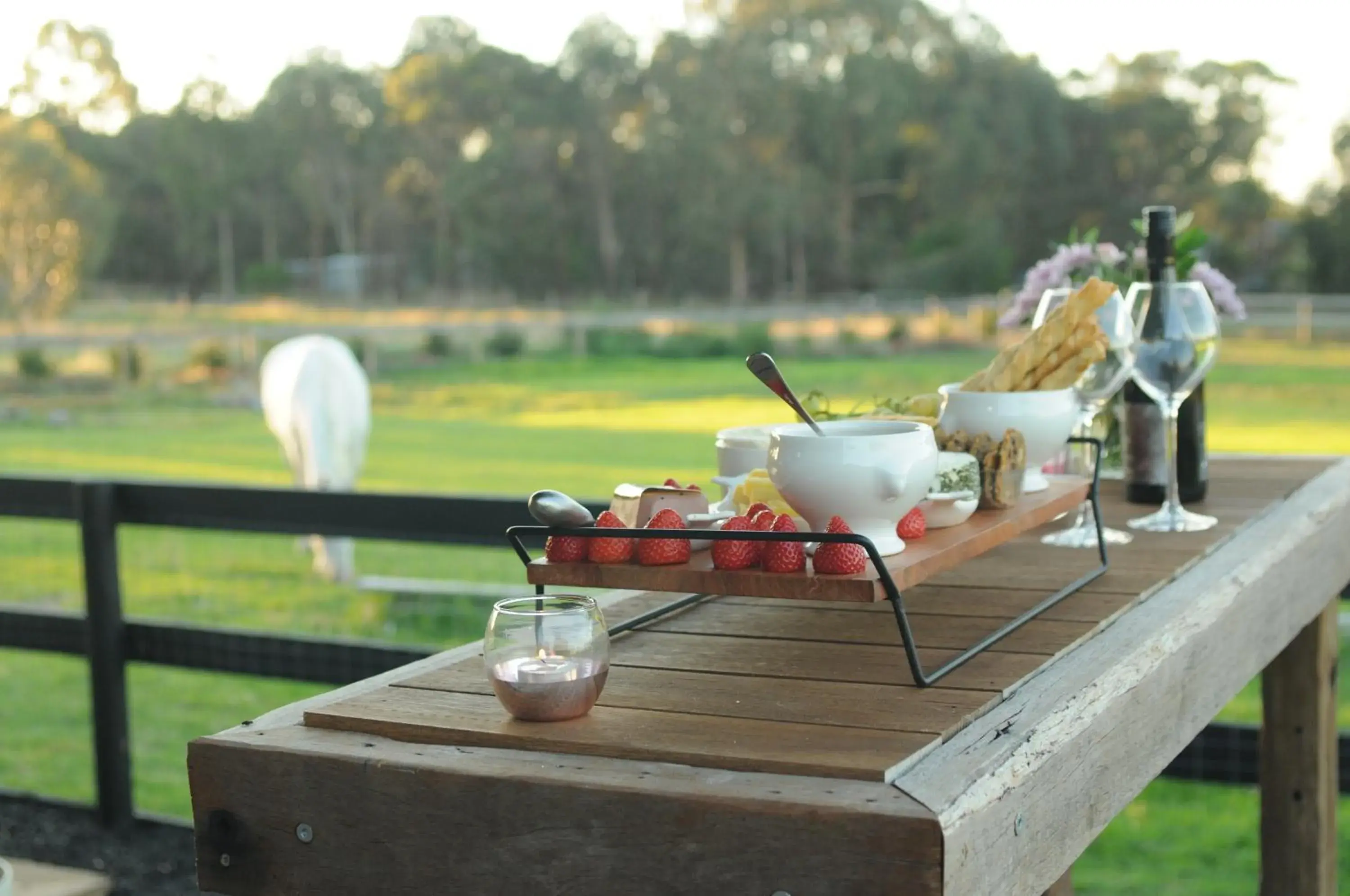 Wagtail Nest Country Retreat - Longford Vic 3851 Wagtail Nest Country Retreat - Longford Vic 3851