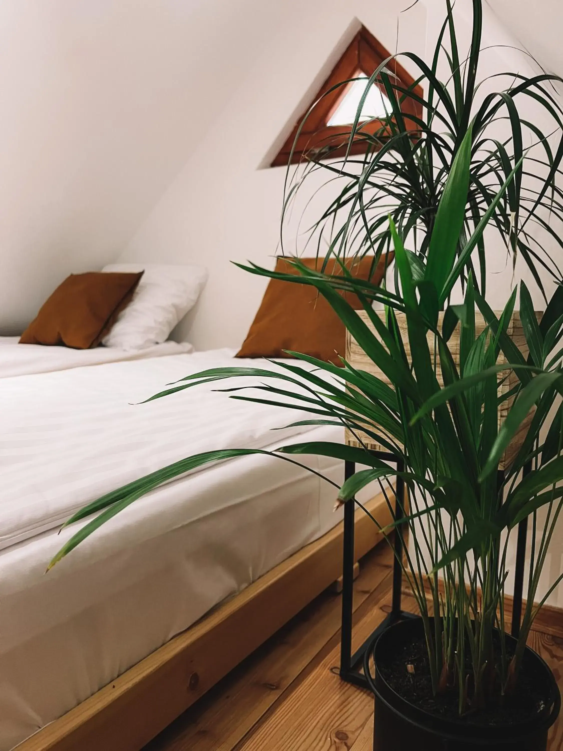 Studio - Split Level in Końska Dolina Studio - Split Level in Końska Dolina