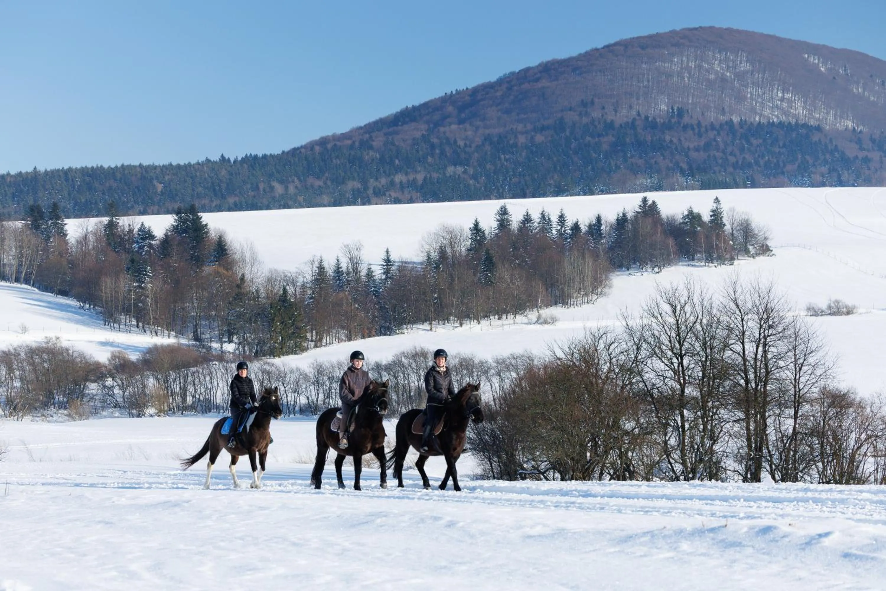 Winter in Końska Dolina
