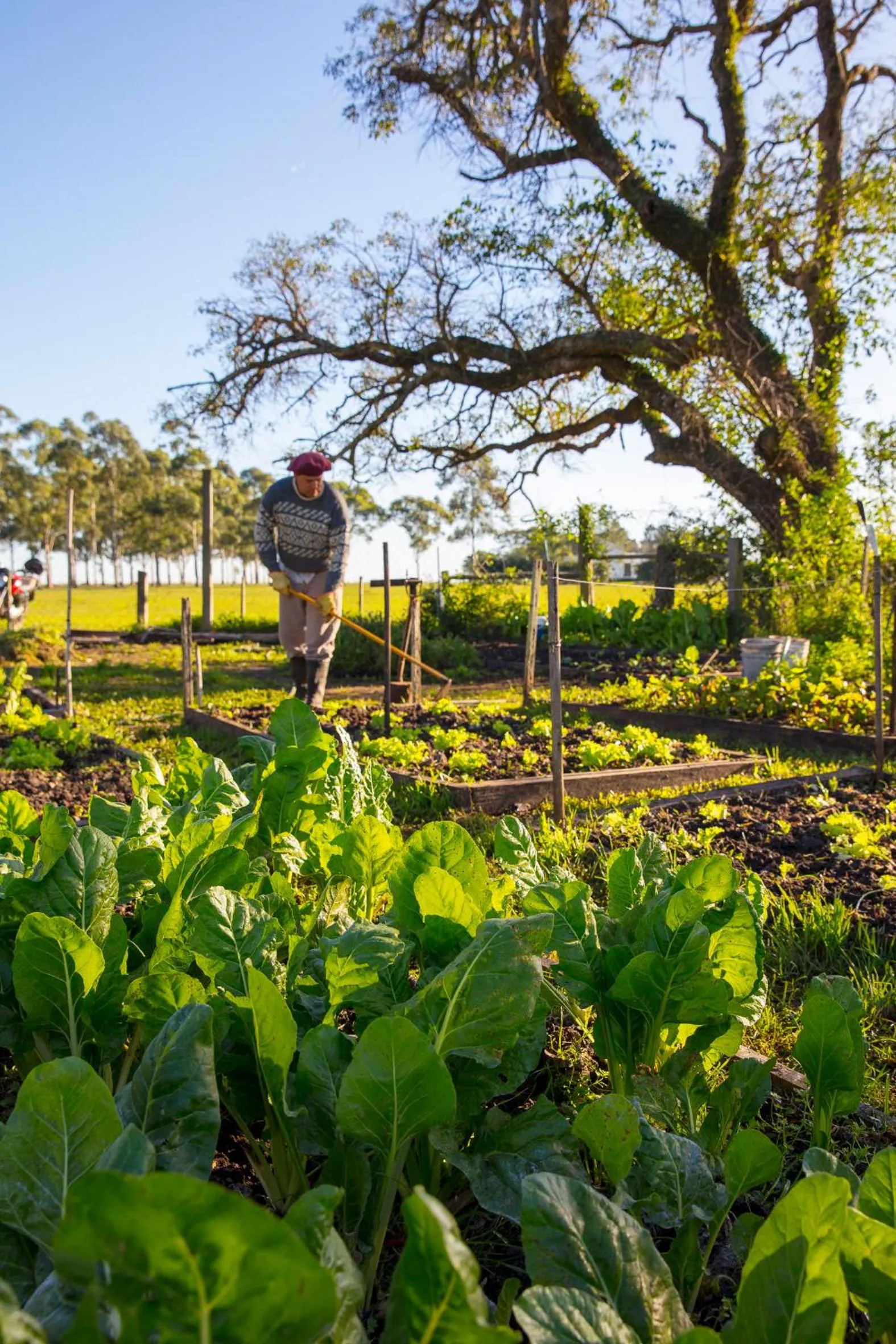 Day in Estancia San Agustin
