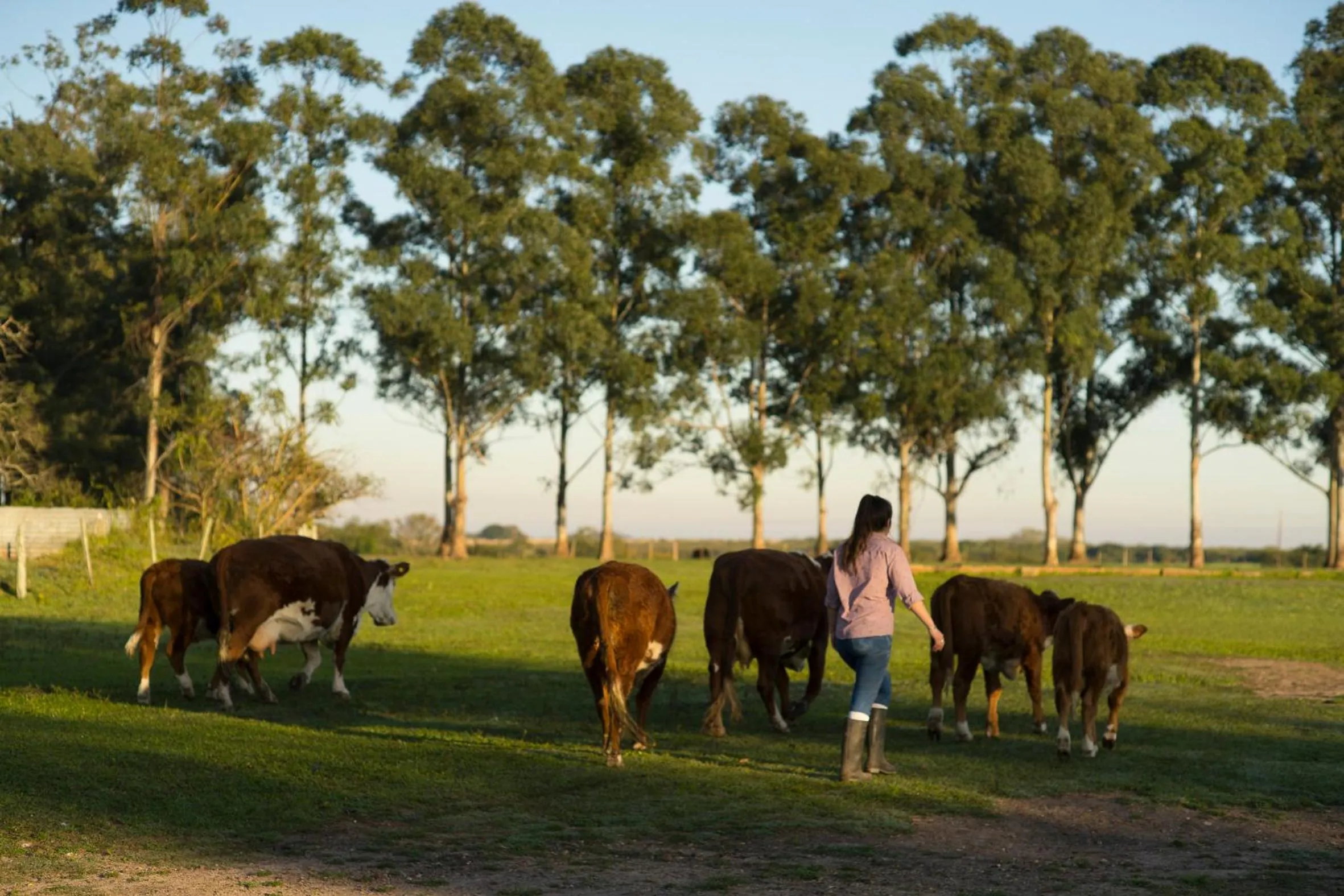 Activities in Estancia San Agustin