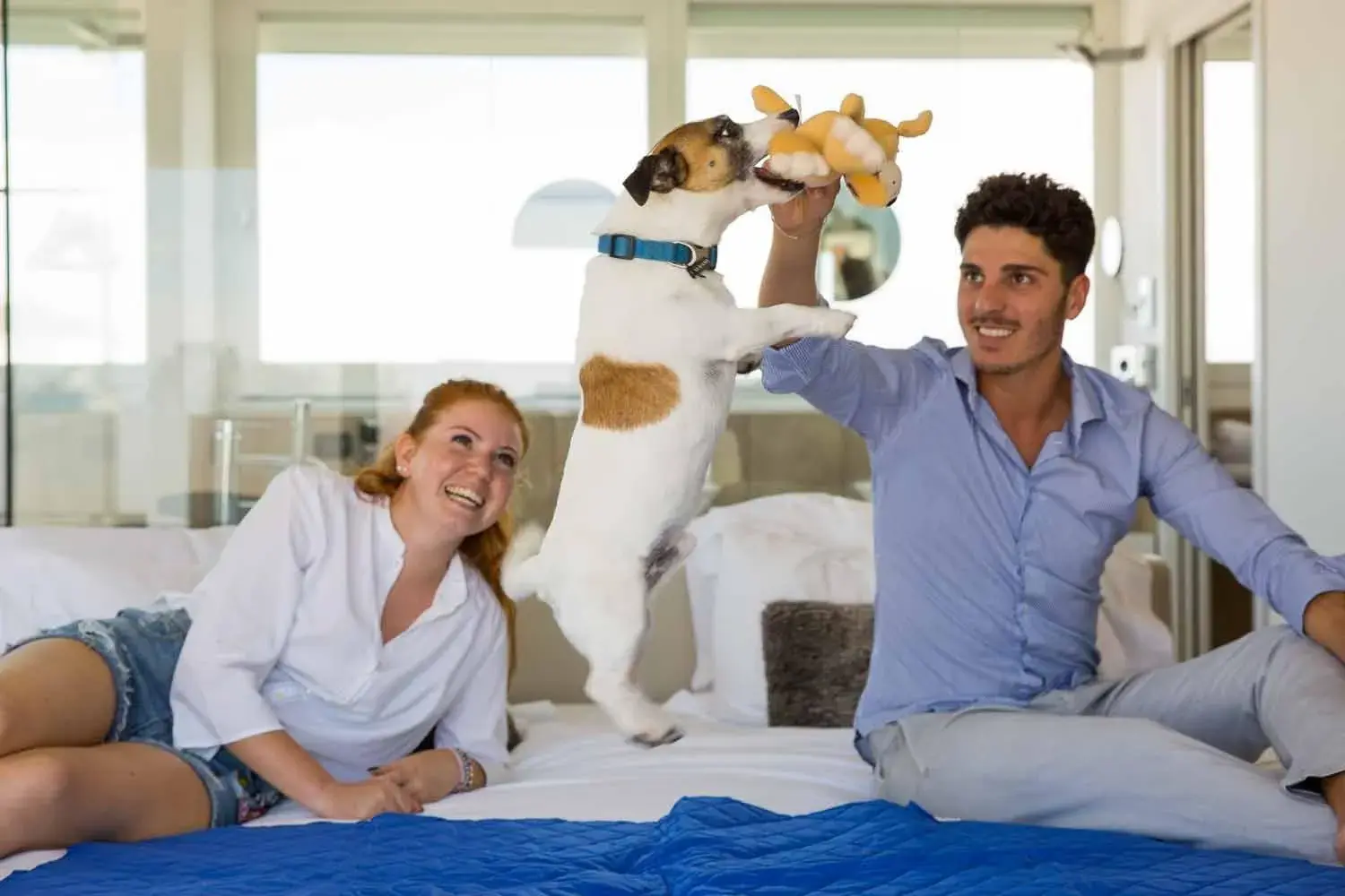 Bed in Hotel Dory Bed in Hotel Dory