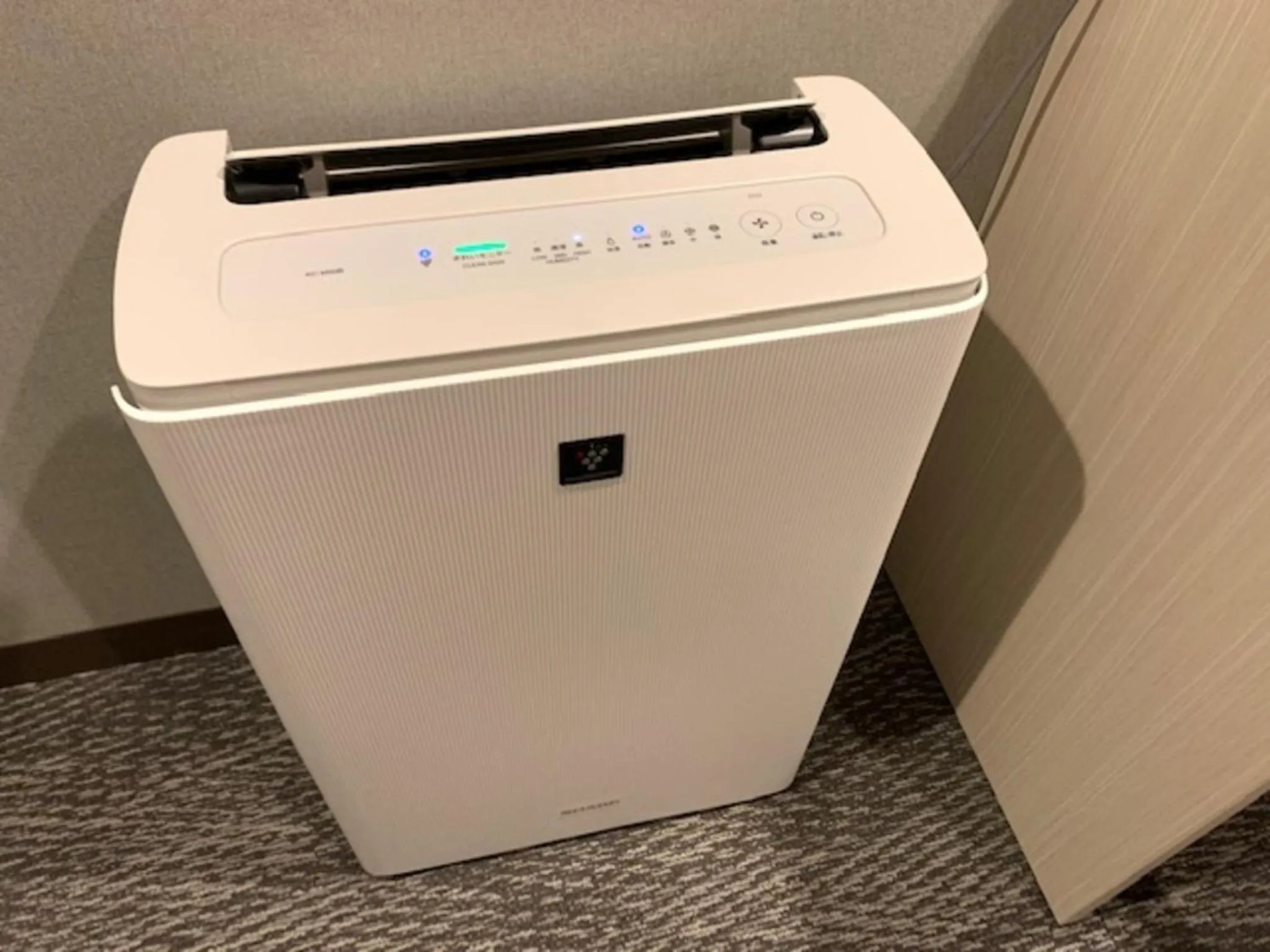 Sun Royal Kawasaki - Vacation STAY 98711v