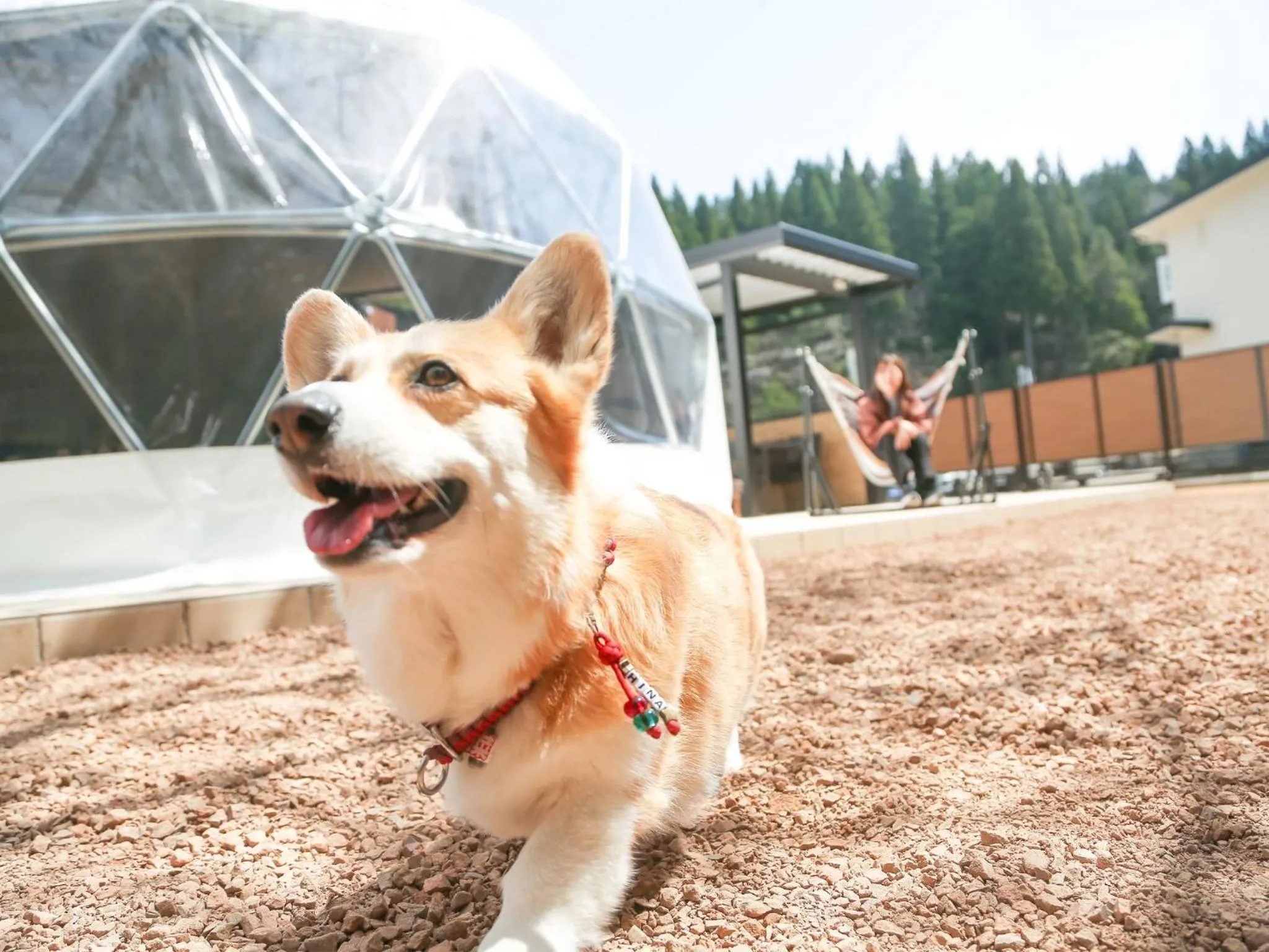 Lupo Forest "GRAN FOREST Echizen Miyama" - Vacation STAY 07123v