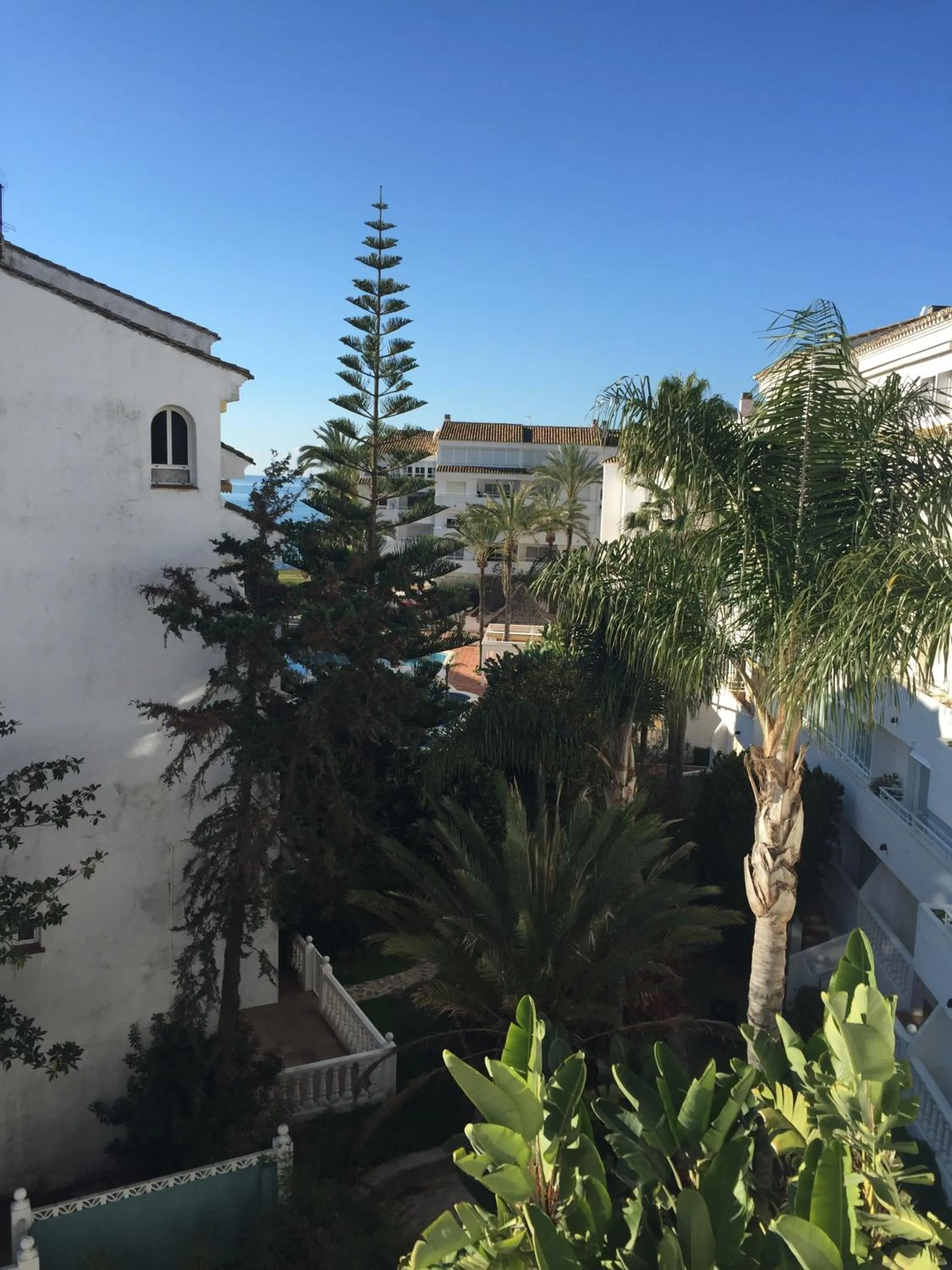 View (from property/room) in Playa Real