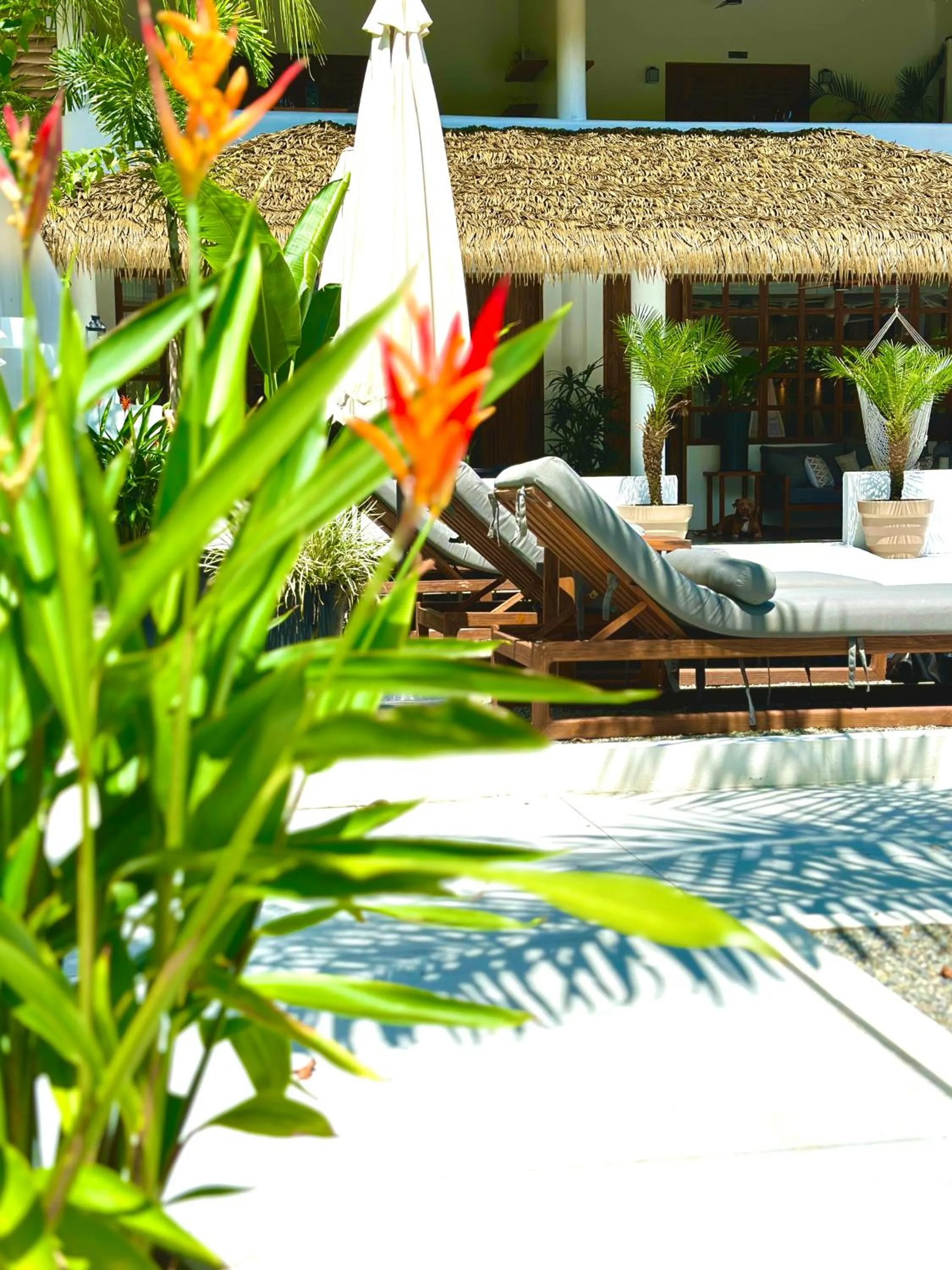 Property building in Vayu Retreat Villas