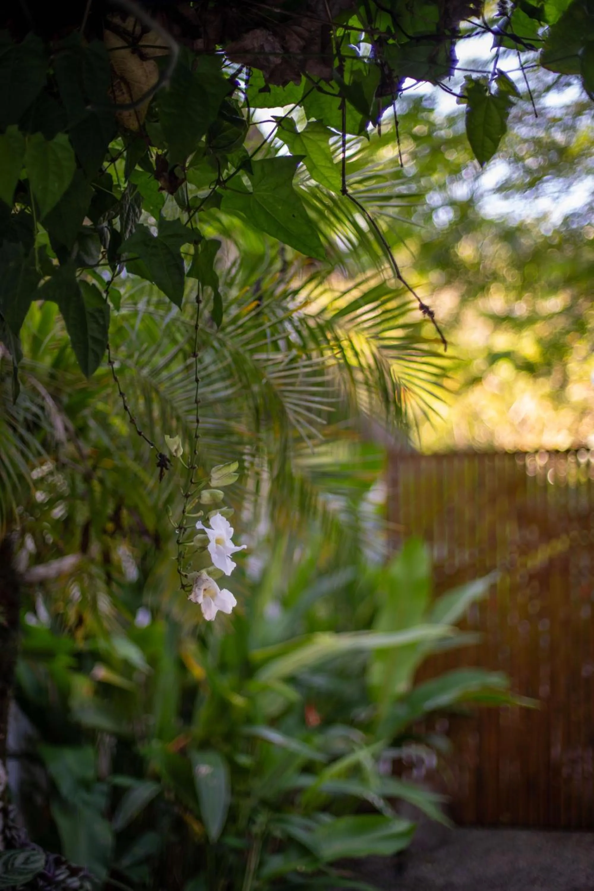 Garden in Vayu Retreat Villas