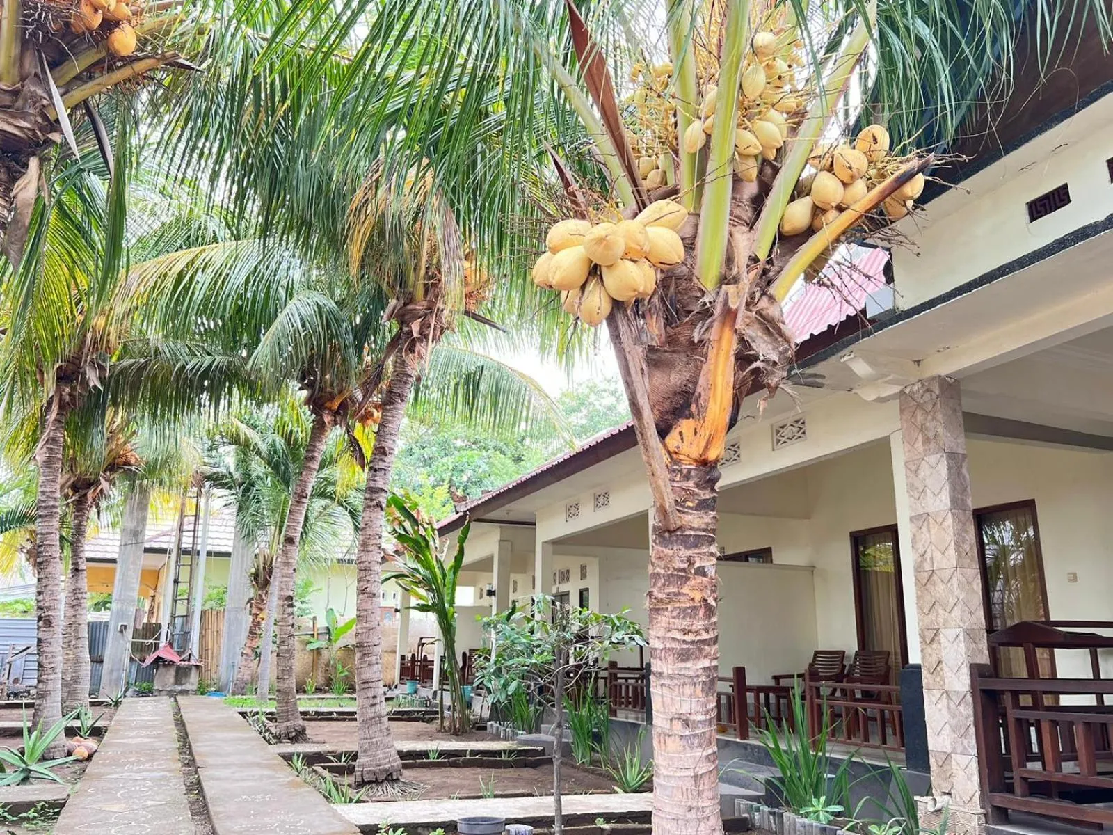 Bias Bungalows