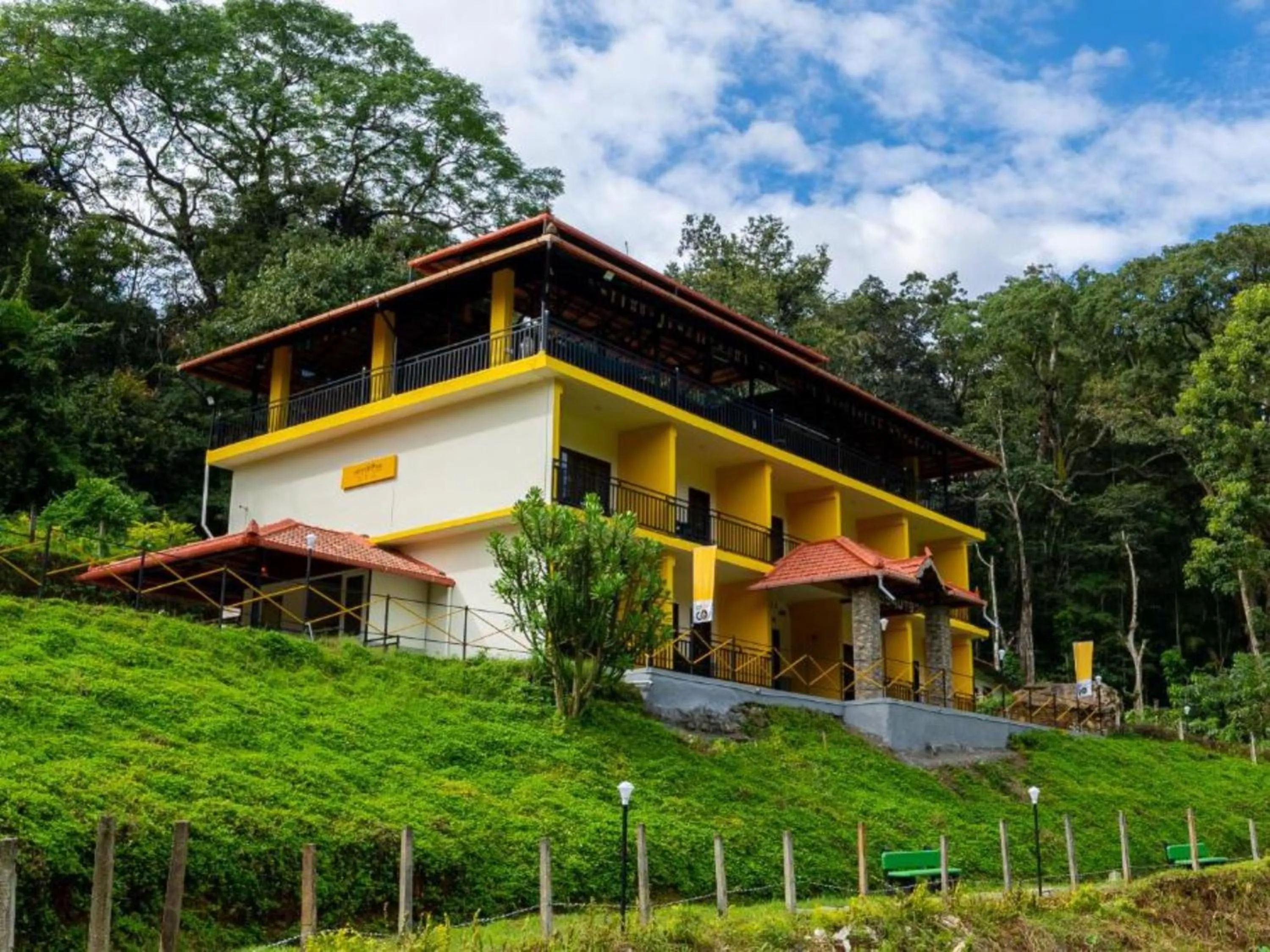Spring in The Hosteller Coorg Rainforest, Madikeri