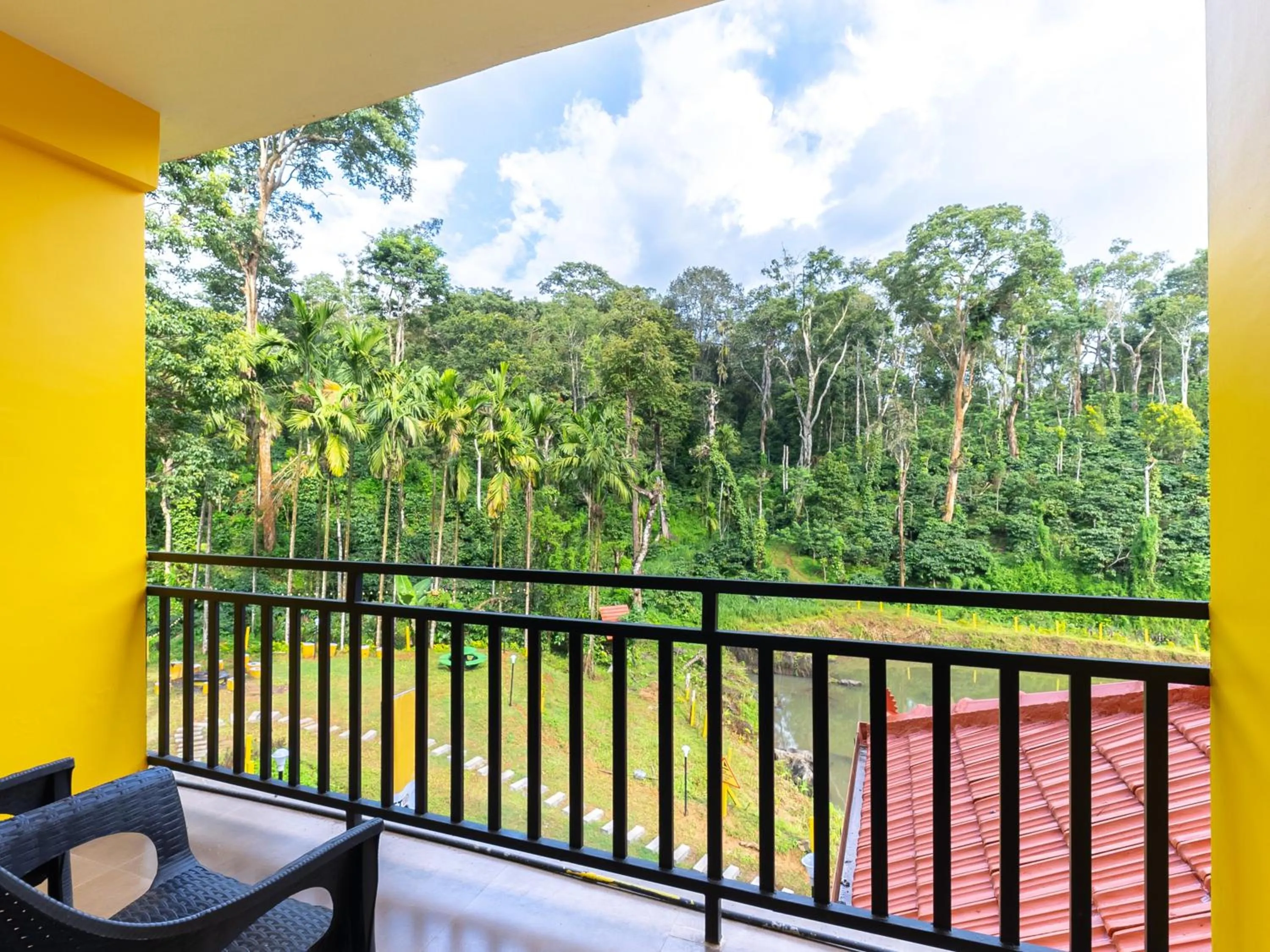 Natural landscape in The Hosteller Coorg Rainforest, Madikeri