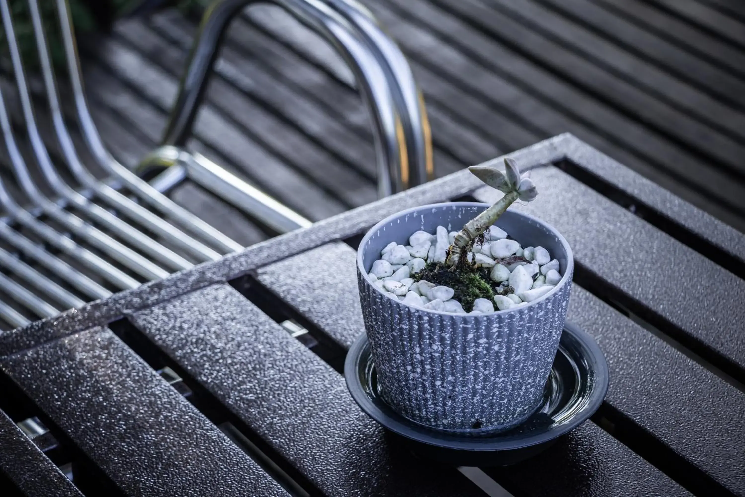 Garden view in Timba Garden FREE TOWN AND JETTY TRANSPORT Garden view in Timba Garden FREE TOWN AND JETTY TRANSPORT