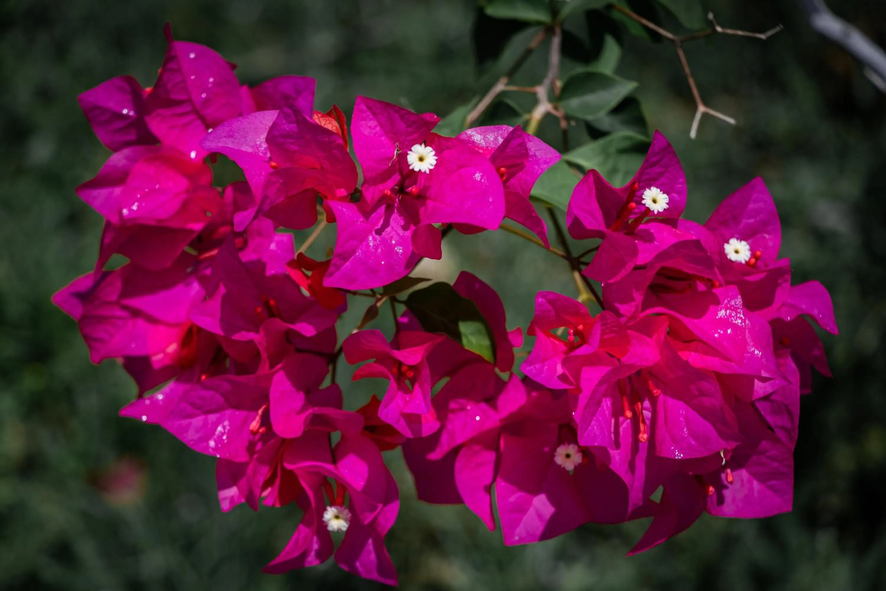 Garden view in Timba Garden FREE TOWN AND JETTY TRANSPORT