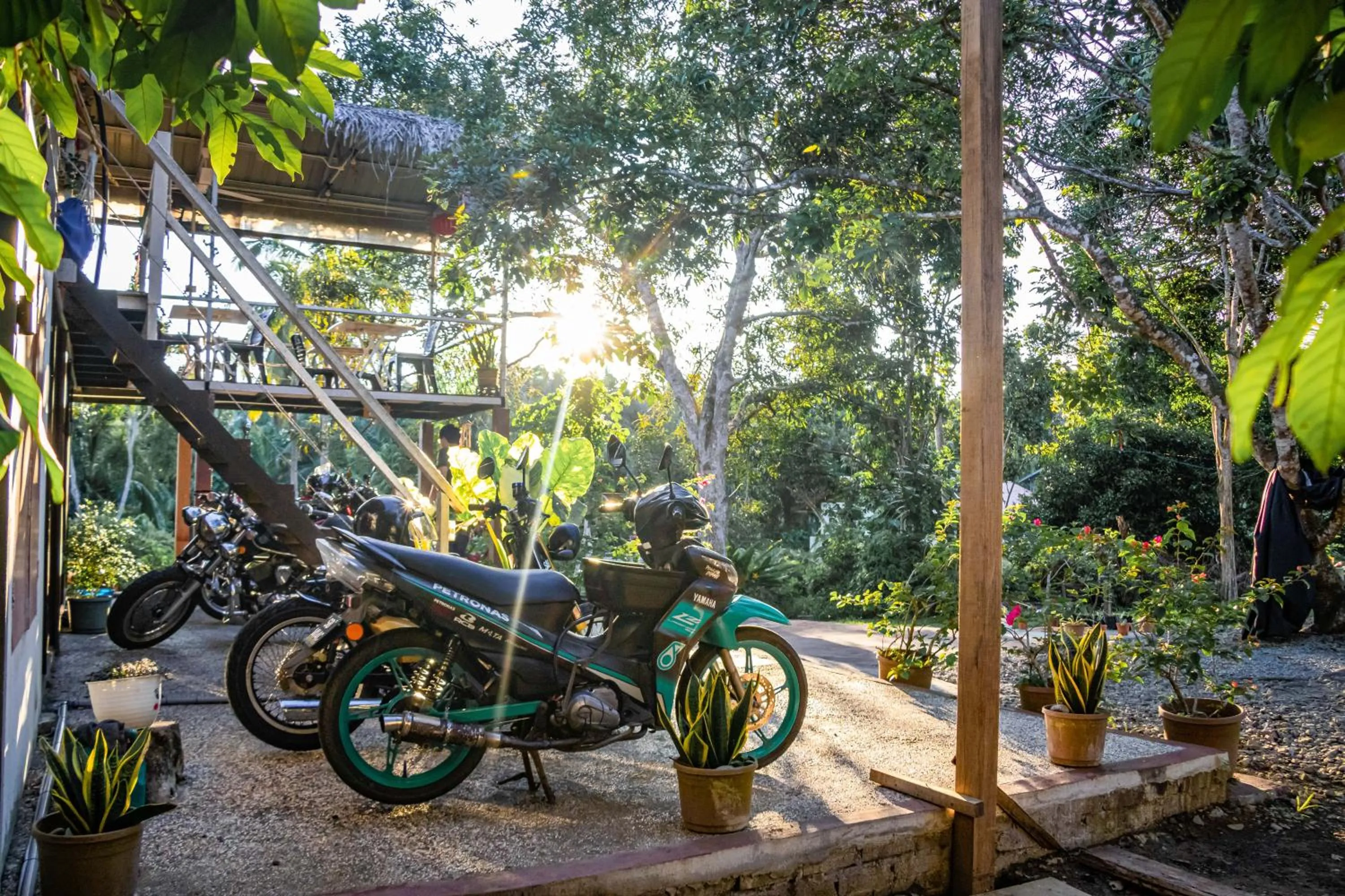 Restaurant/places to eat in Timba Garden FREE TOWN AND JETTY TRANSPORT