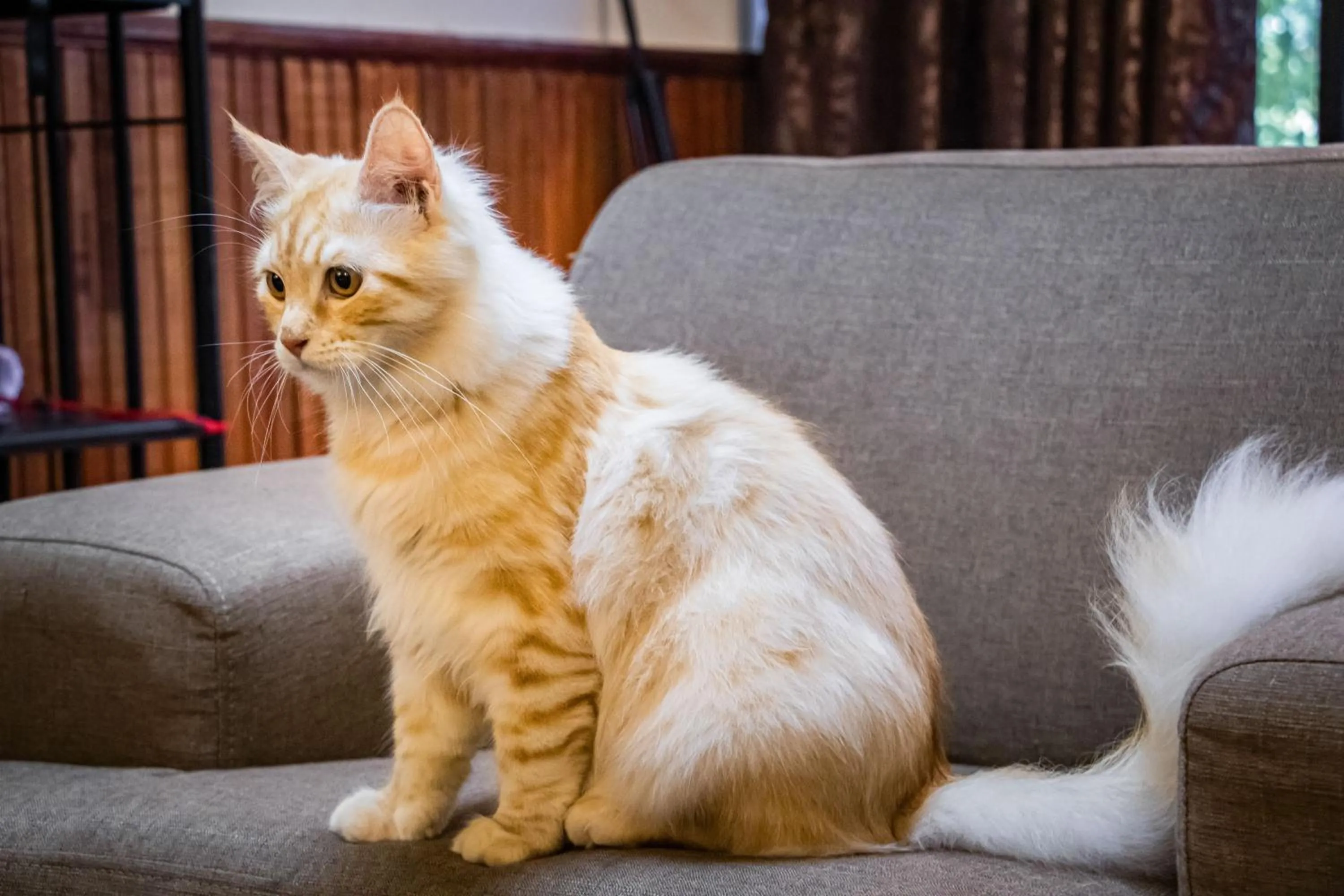 Living room in Timba Garden FREE TOWN AND JETTY TRANSPORT
