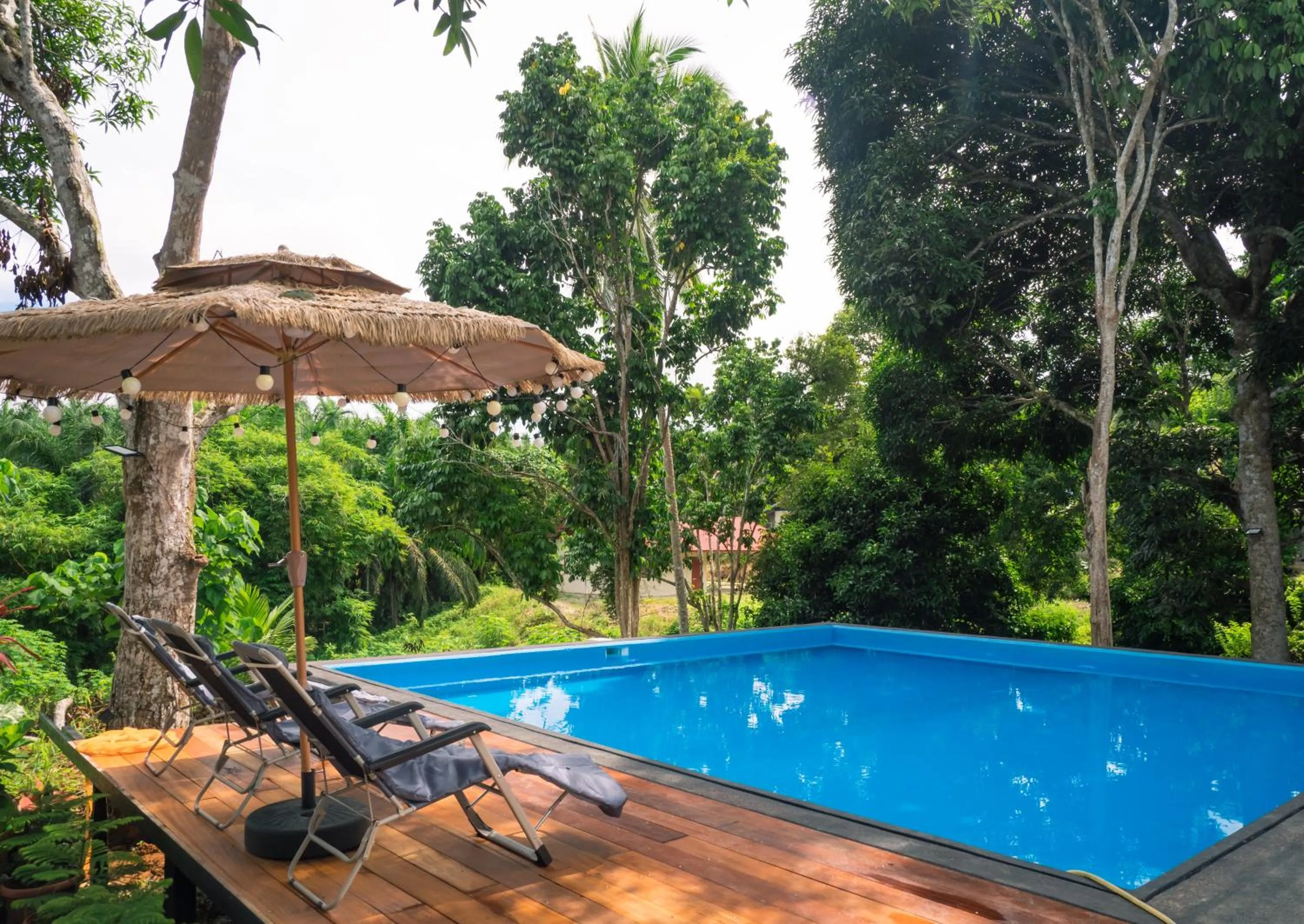 Swimming pool in Timba Garden FREE TOWN AND JETTY TRANSPORT