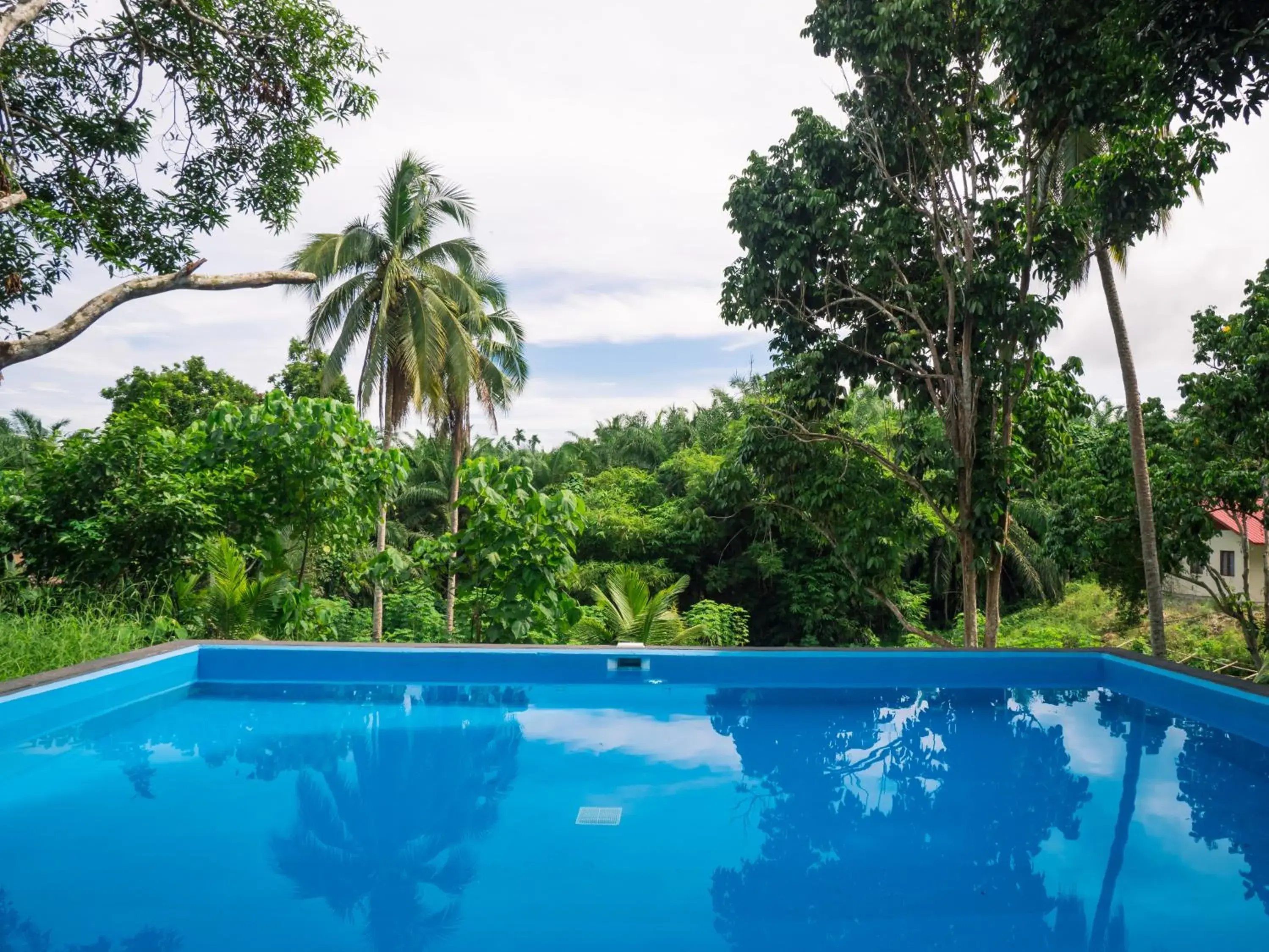 Swimming pool in Timba Garden FREE TOWN AND JETTY TRANSPORT Swimming pool in Timba Garden FREE TOWN AND JETTY TRANSPORT