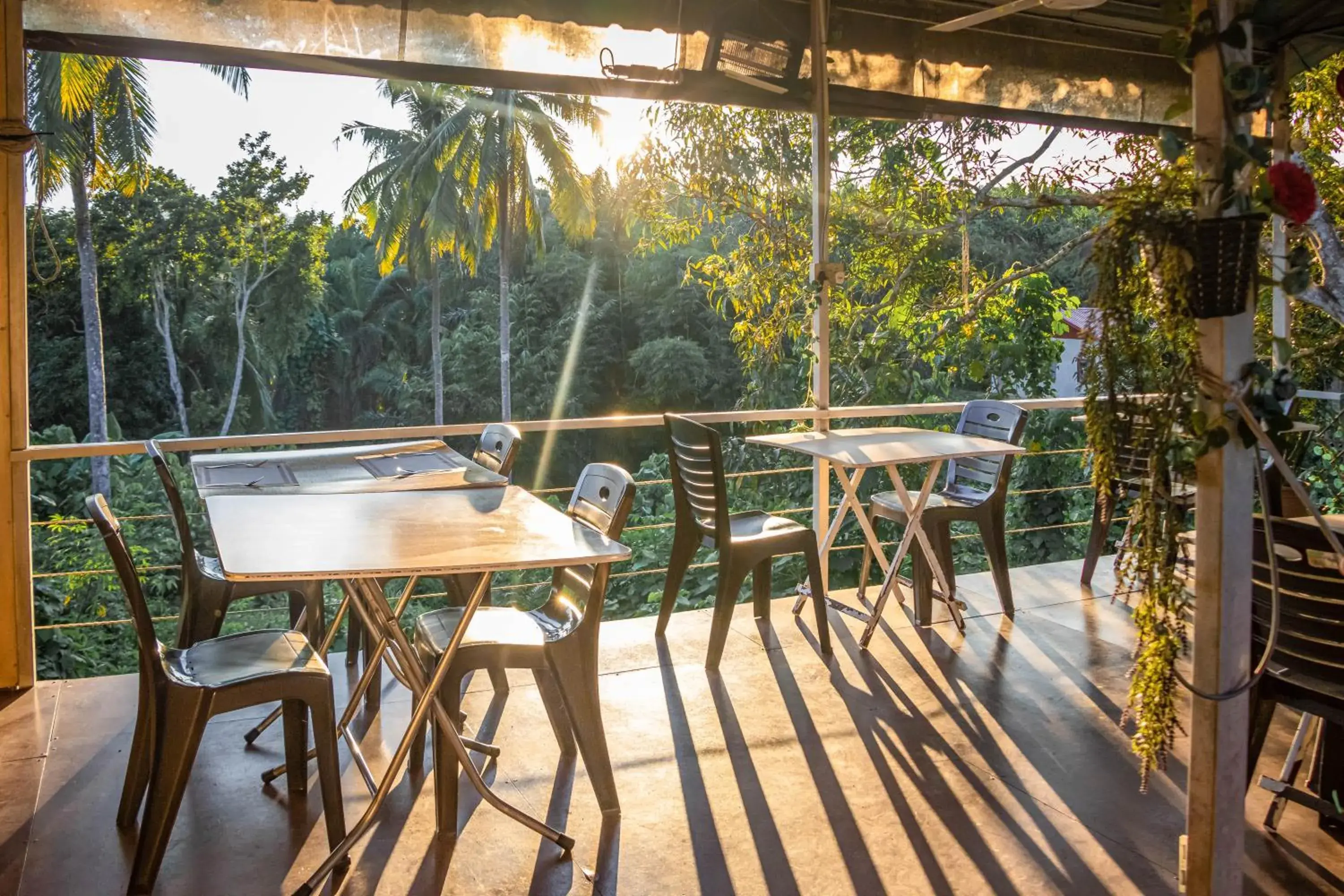 Restaurant/places to eat in Timba Garden FREE TOWN AND JETTY TRANSPORT Restaurant/places to eat in Timba Garden FREE TOWN AND JETTY TRANSPORT