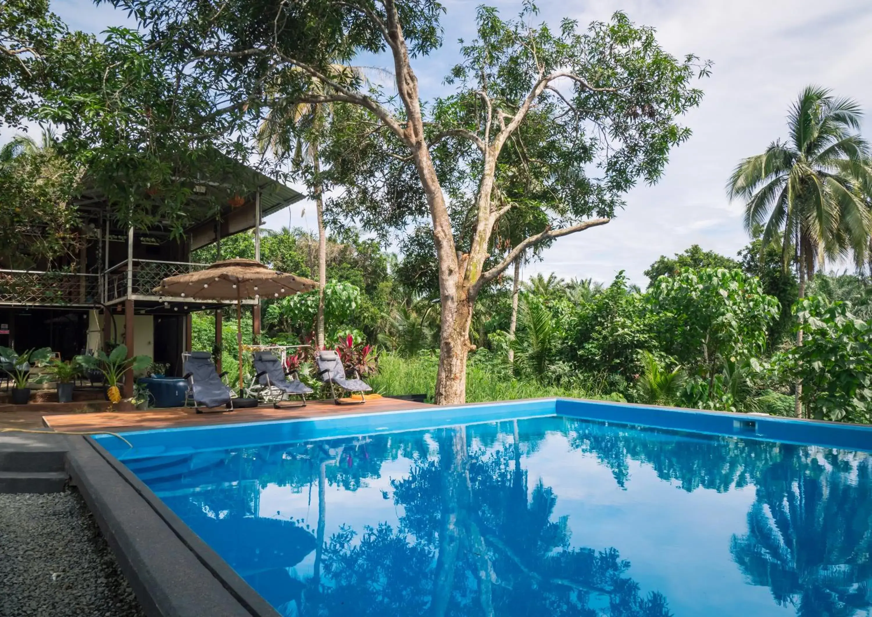 Swimming pool in Timba Garden FREE TOWN AND JETTY TRANSPORT Swimming pool in Timba Garden FREE TOWN AND JETTY TRANSPORT