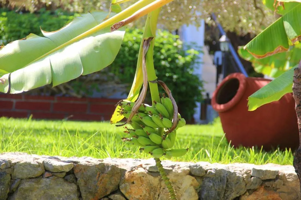 Garden in Bare Hill Holiday Apartments