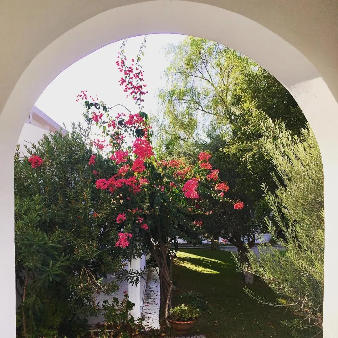 Garden in Bare Hill Holiday Apartments