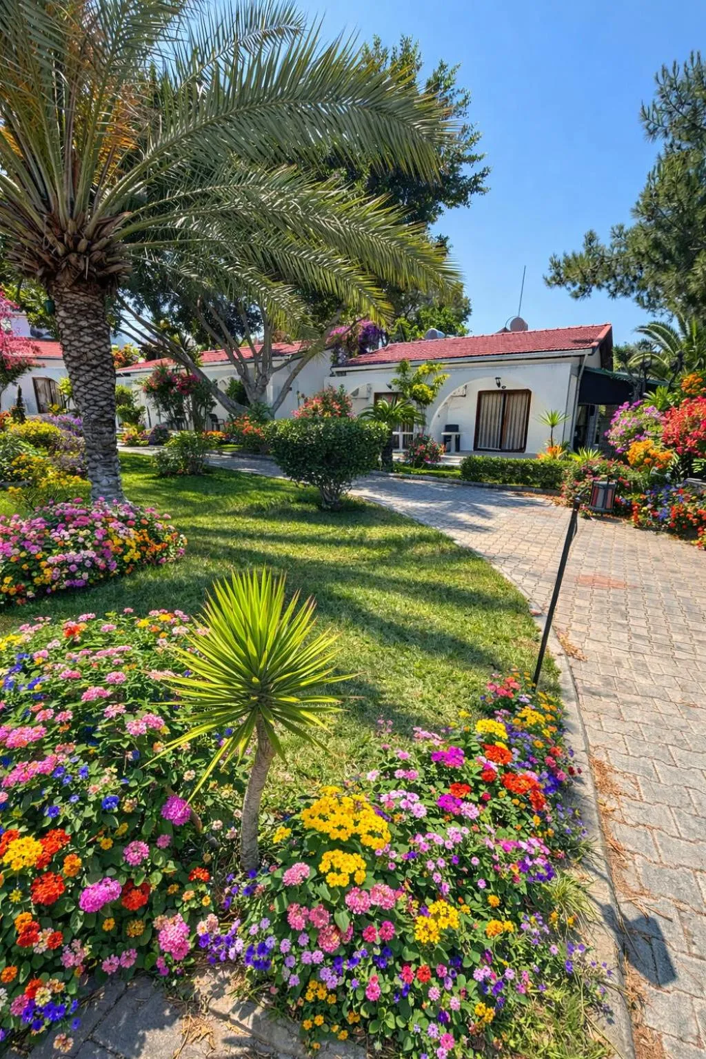 Bare Hill Holiday Apartments